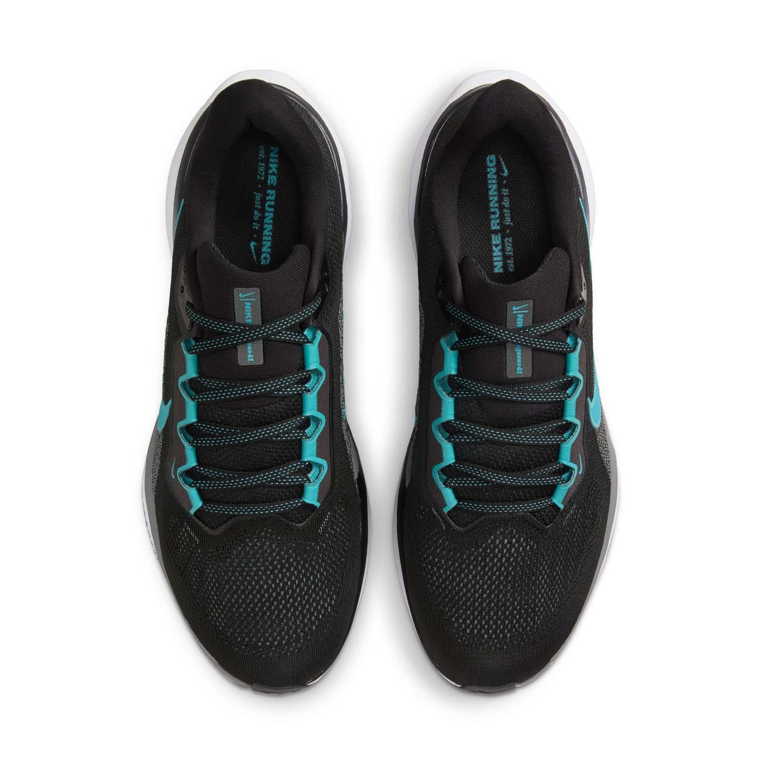 Nike Pegasus 41
