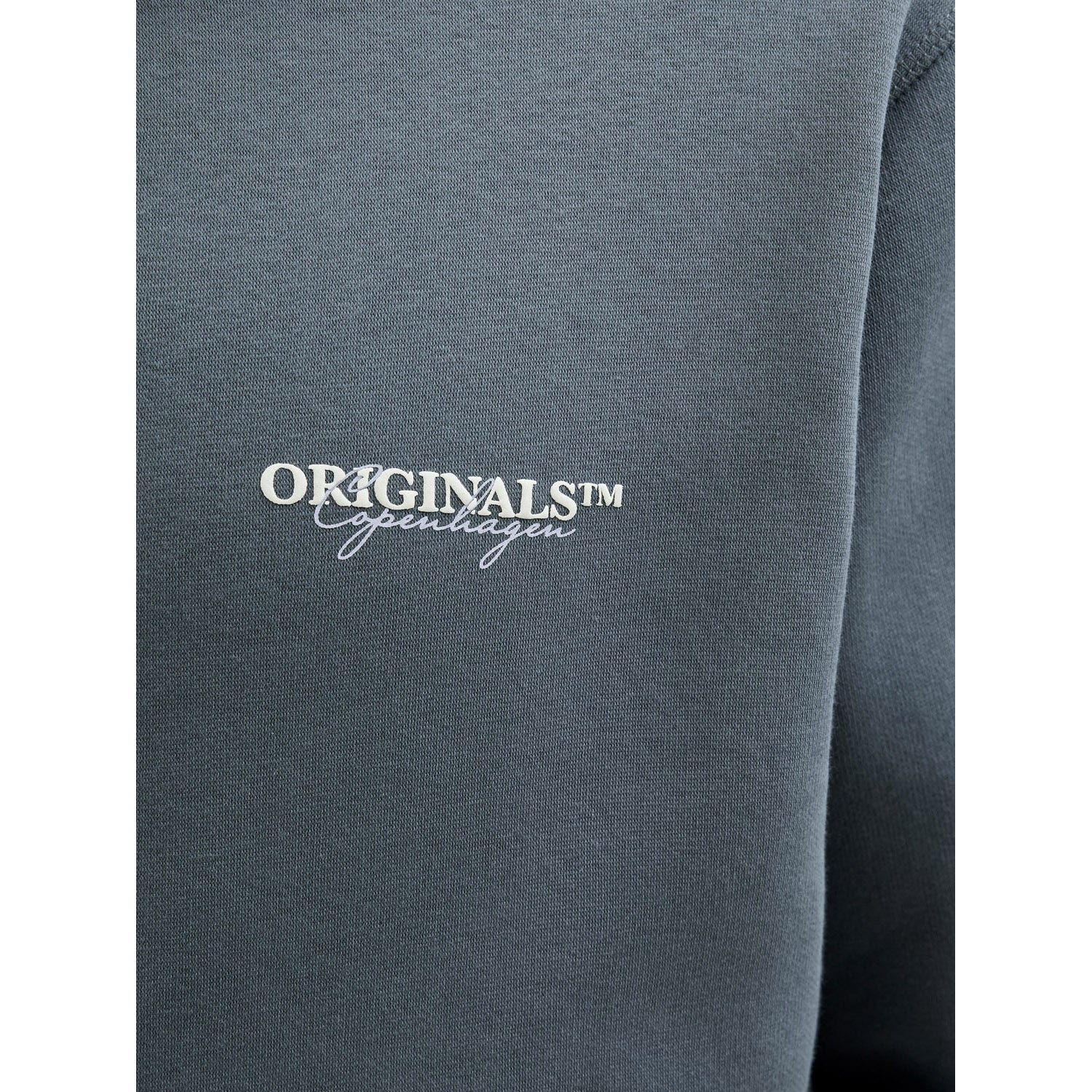 Jack & Jones Jorislington Hoodie 