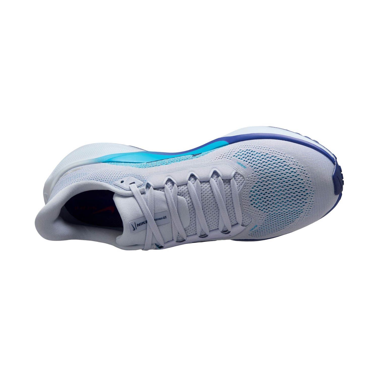 Nike Pegasus 41 Heren