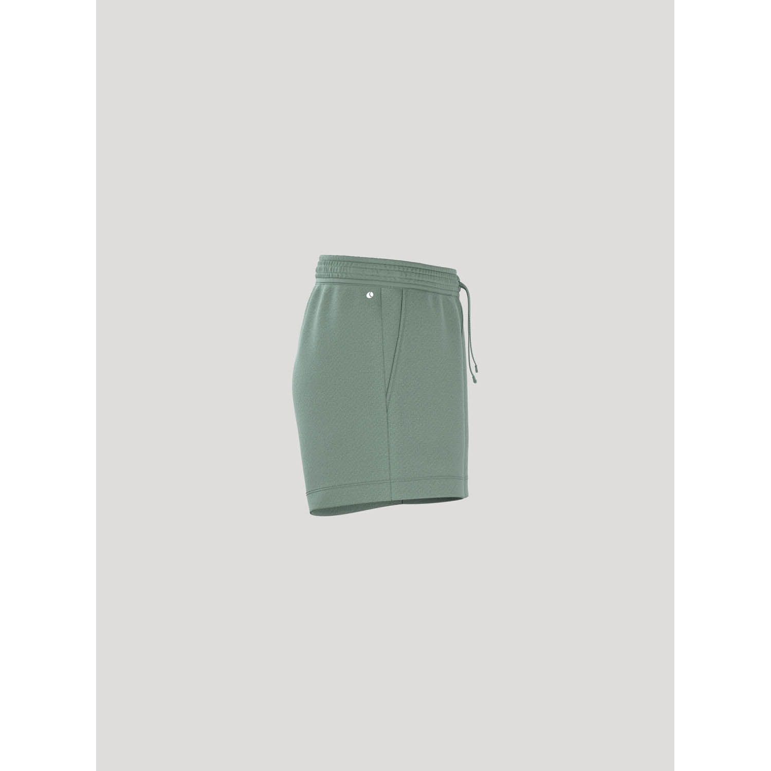 Björn Borg Borg Essential 5 Shorts