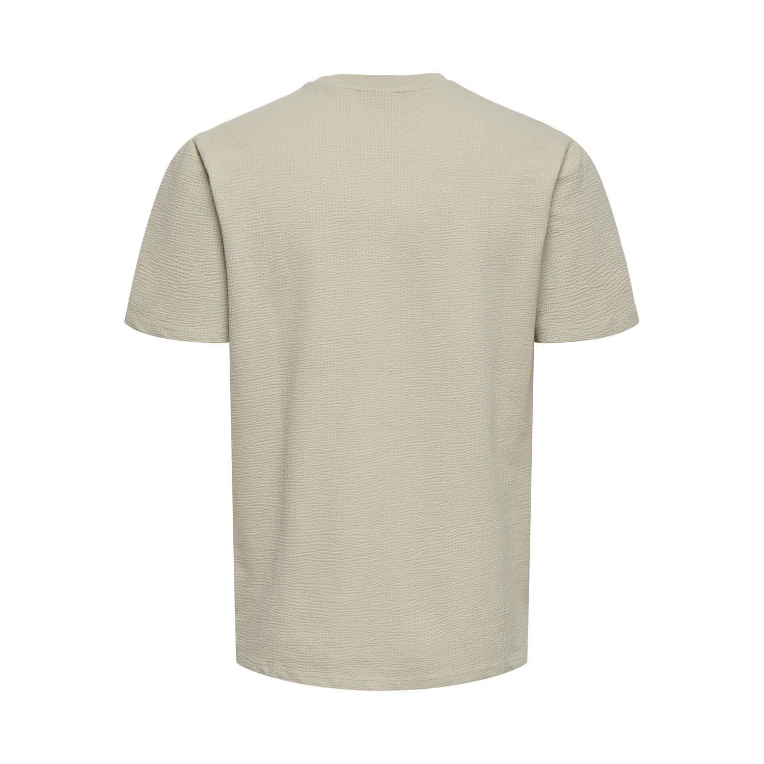 ONLY & Sons Kian Life Tee