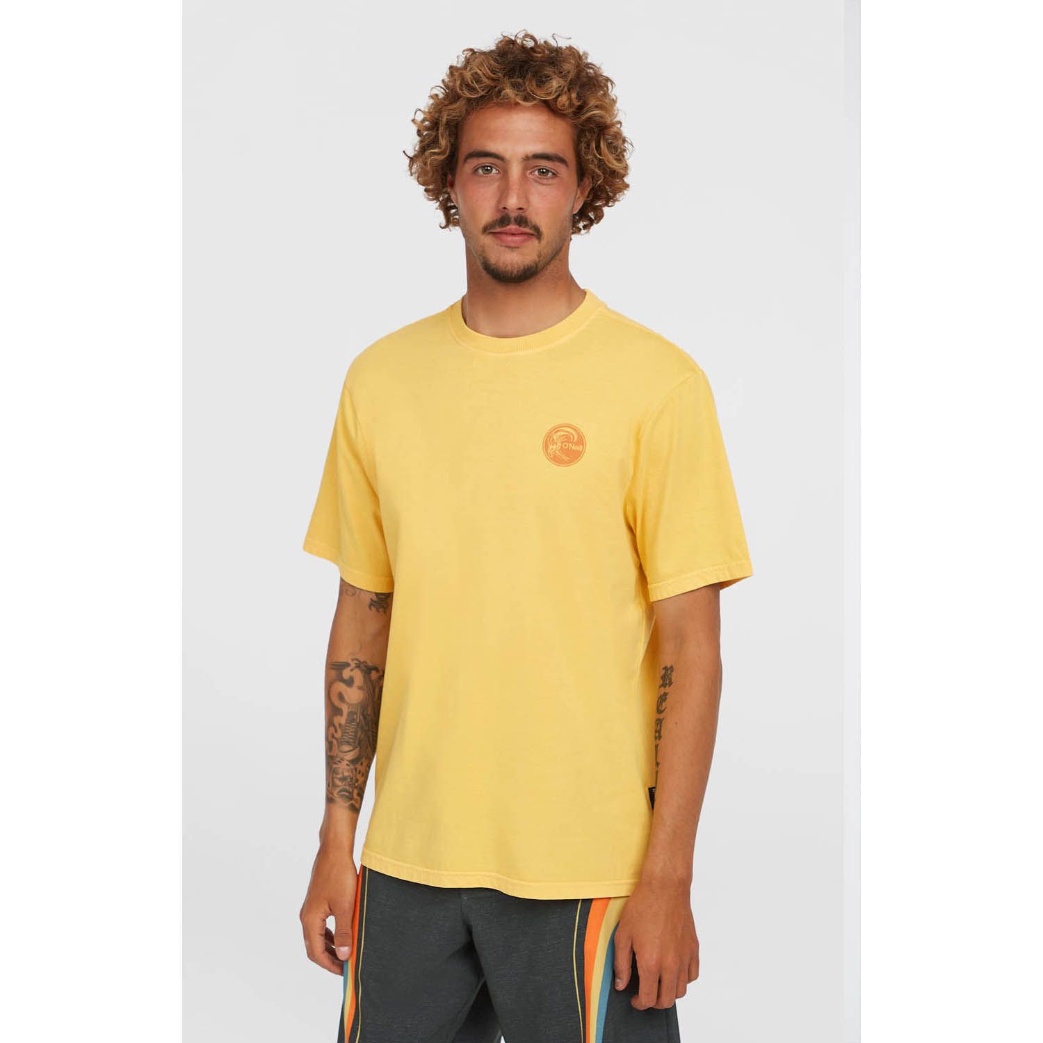 O'Neill O'riginals Vintage Graphic T-Shirt