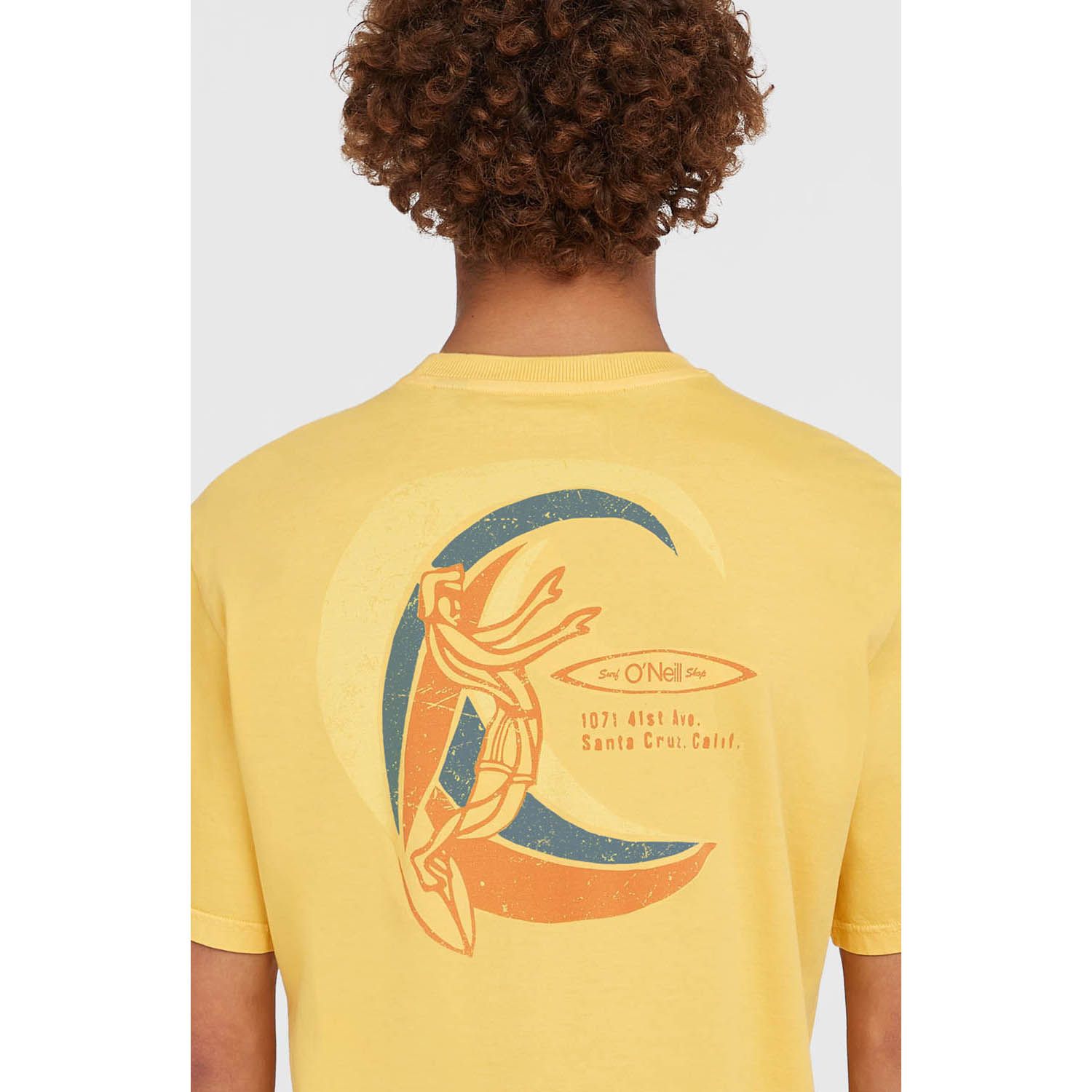 O'Neill O'riginals Vintage Graphic T-Shirt