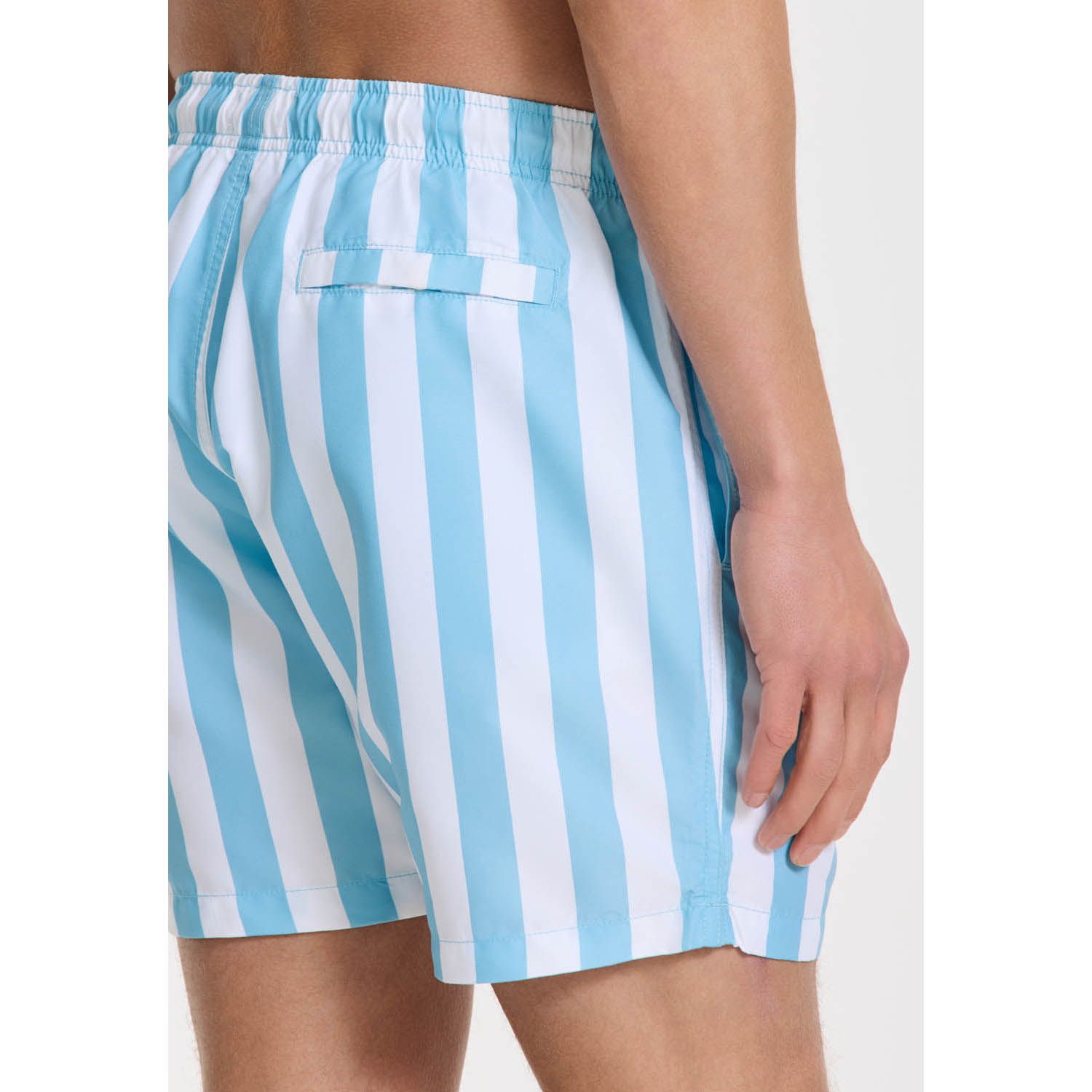 Shiwi Broad Stripe Swim Short
