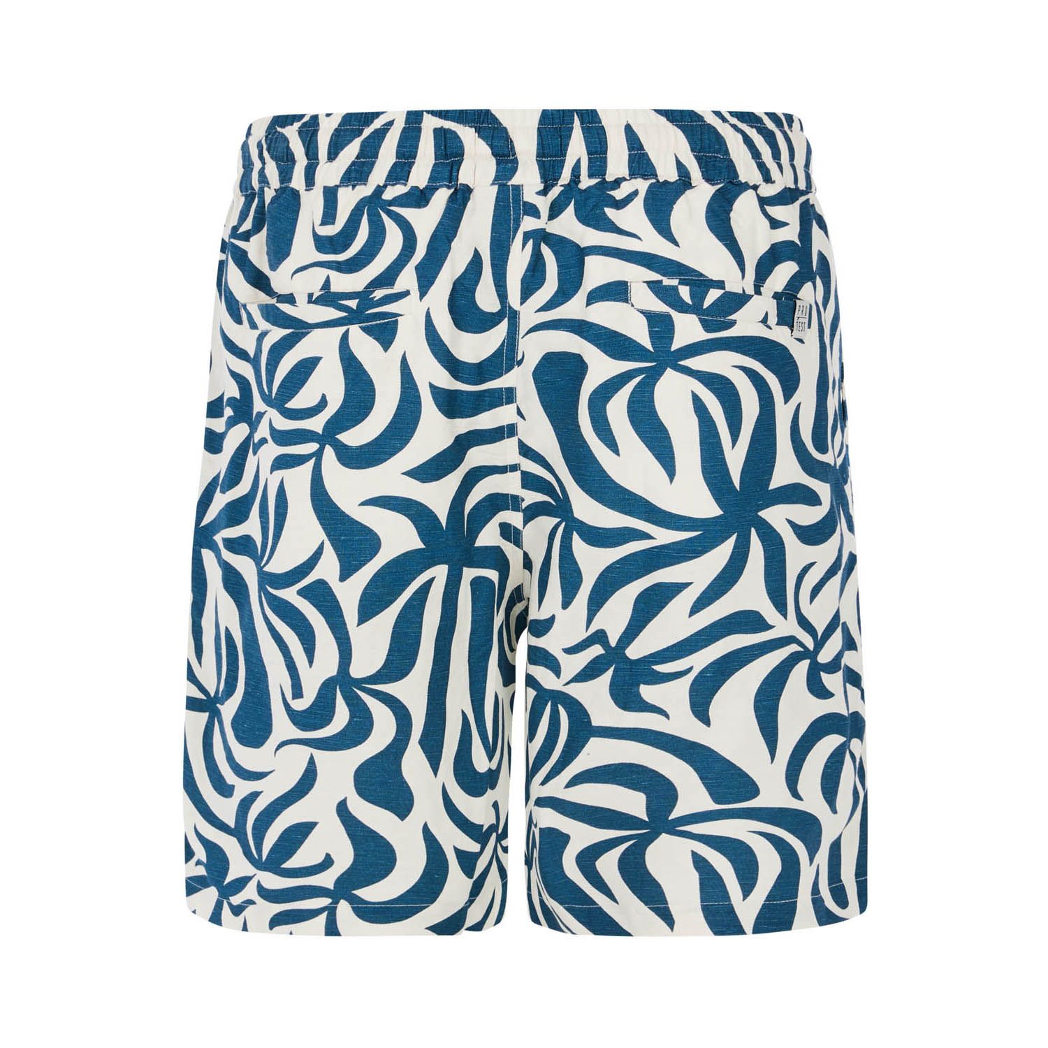Protest PRTBohdi Shorts