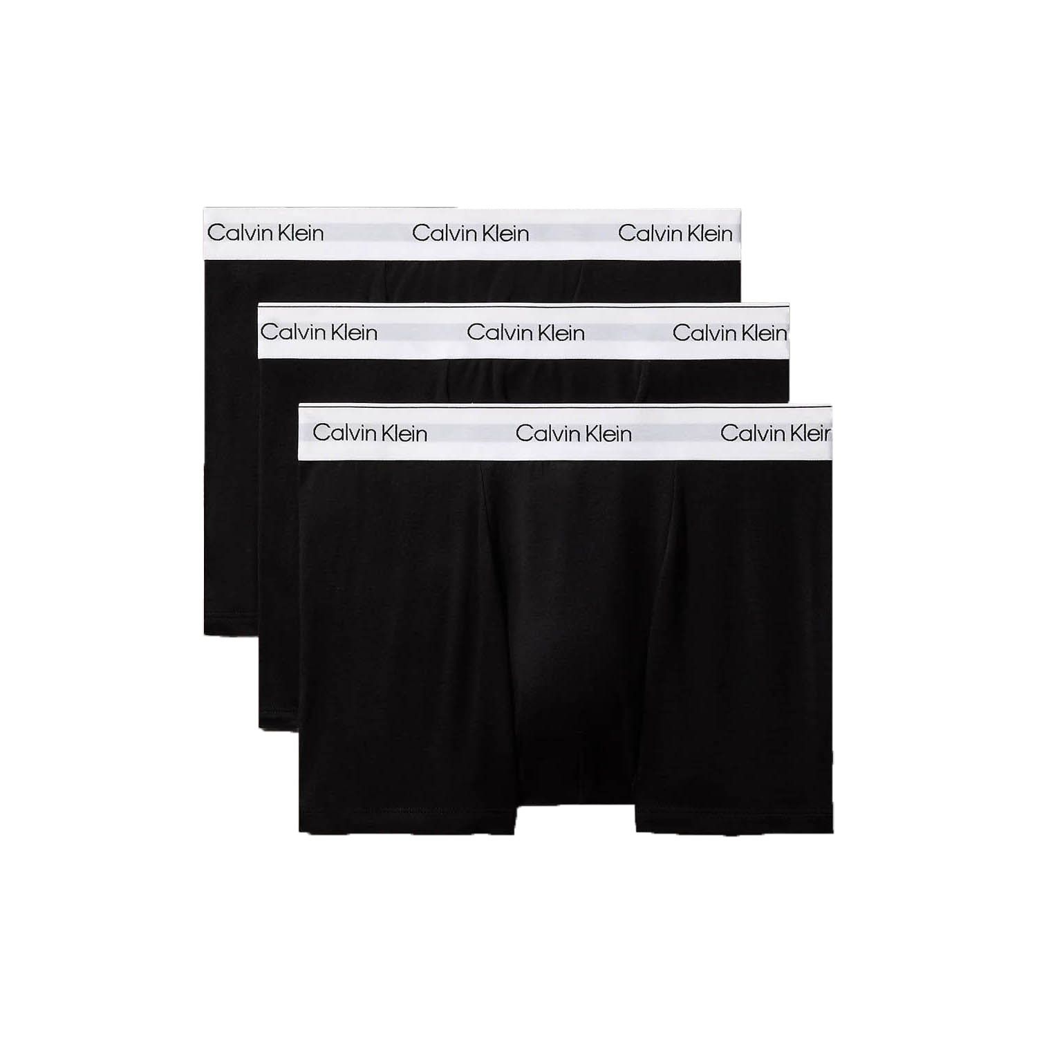 Calvin Klein Relaxed Dart Trunk
