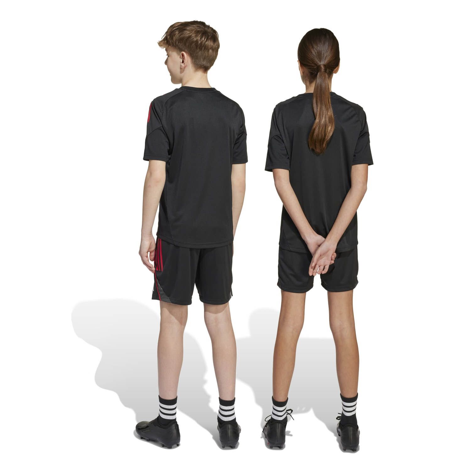 adidas Ajax Tiro Training Shorts Kids