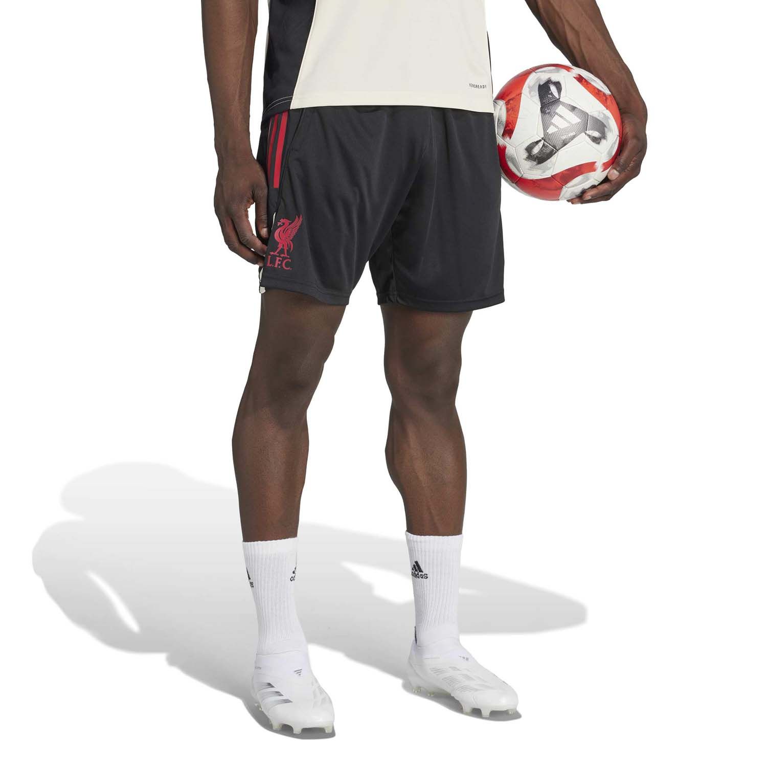 adidas Liverpool FC Tiro Training Shorts