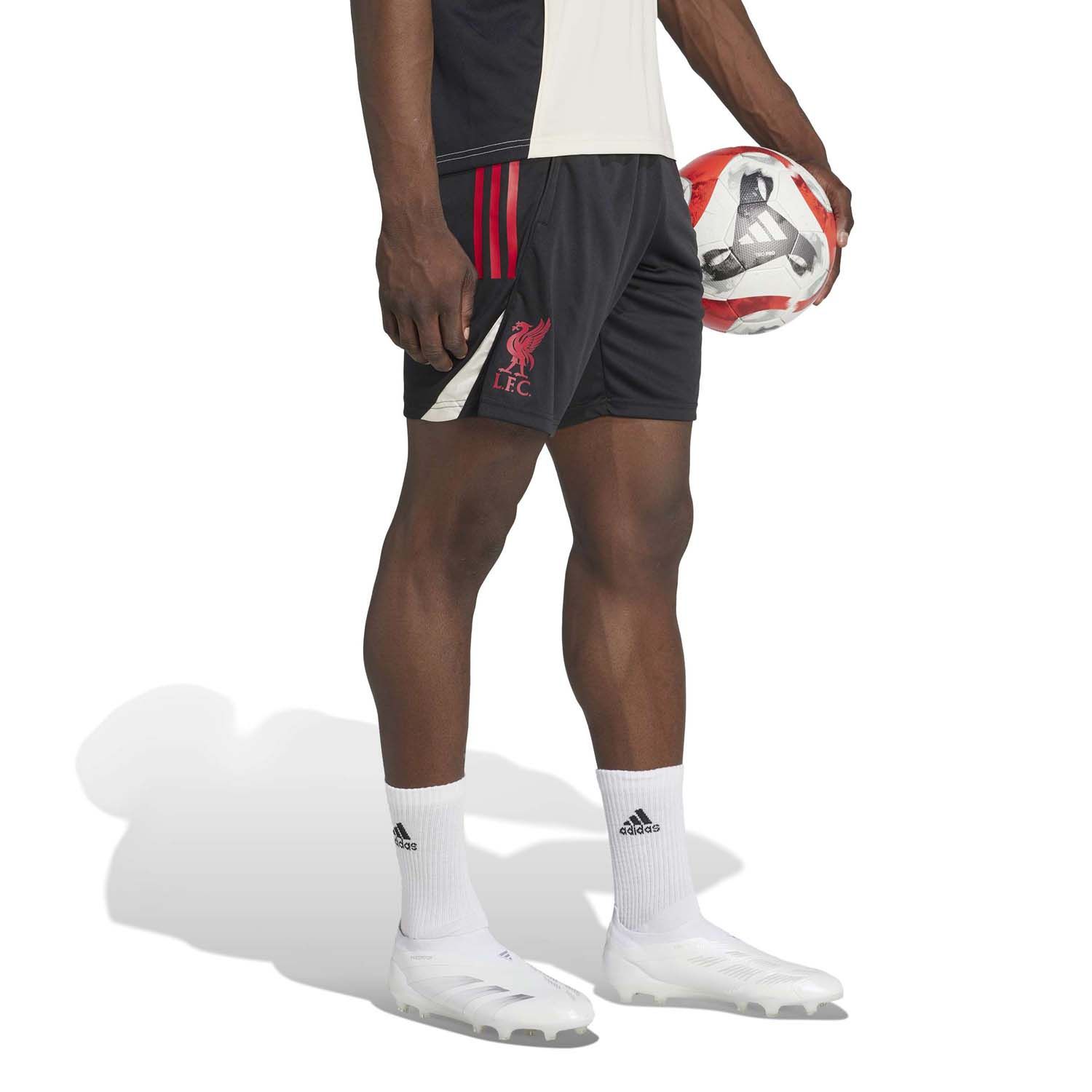 adidas Liverpool FC Tiro Training Shorts