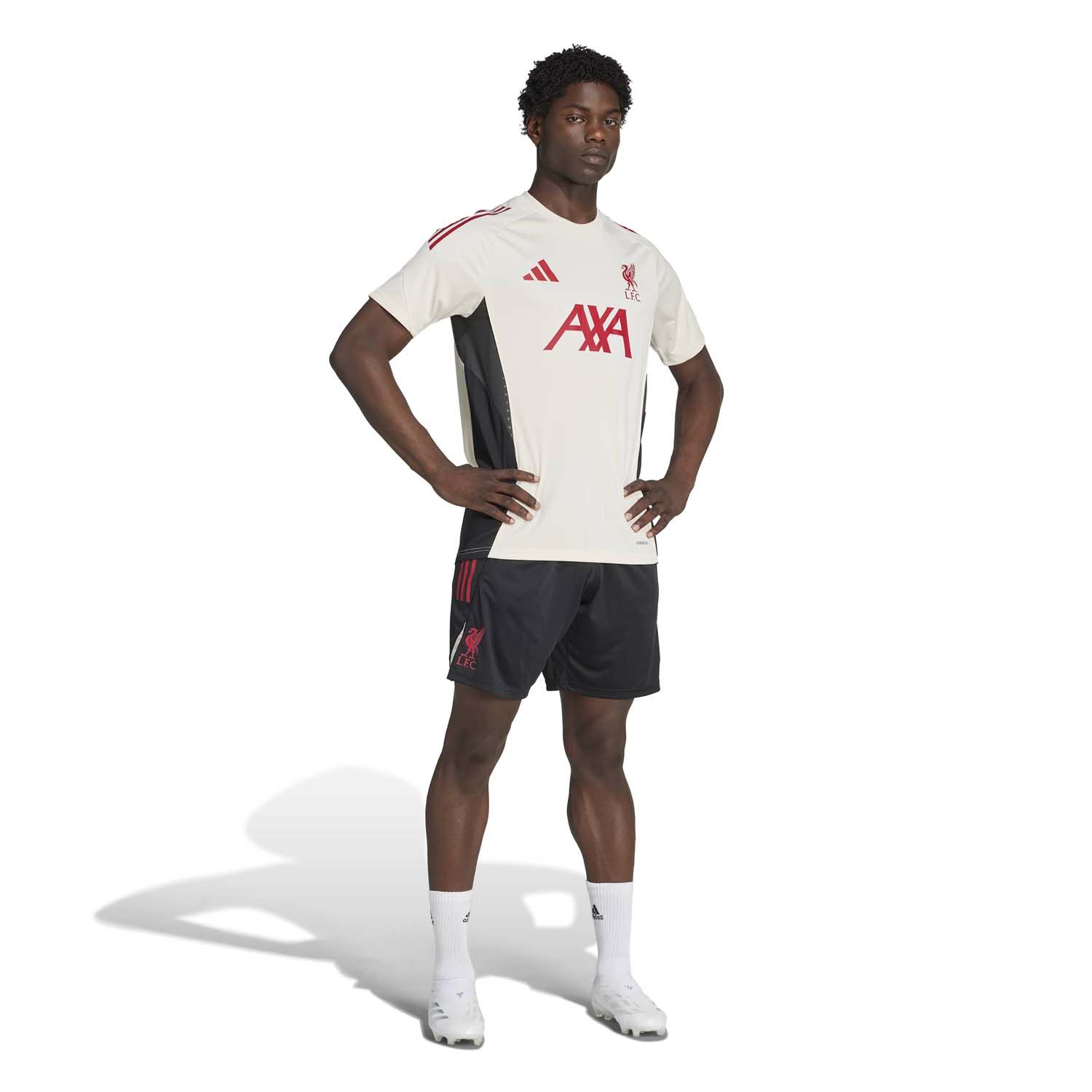adidas Liverpool FC Tiro Training Shorts