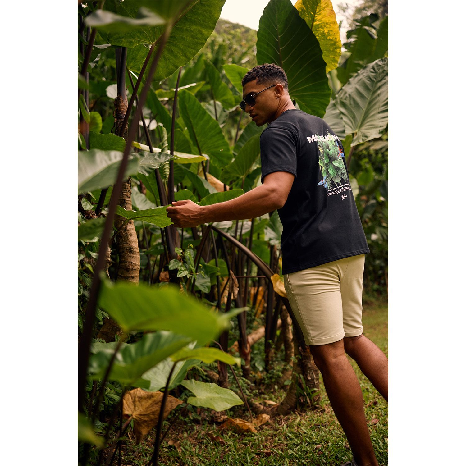 Malelions Parrot T-Shirt Heren