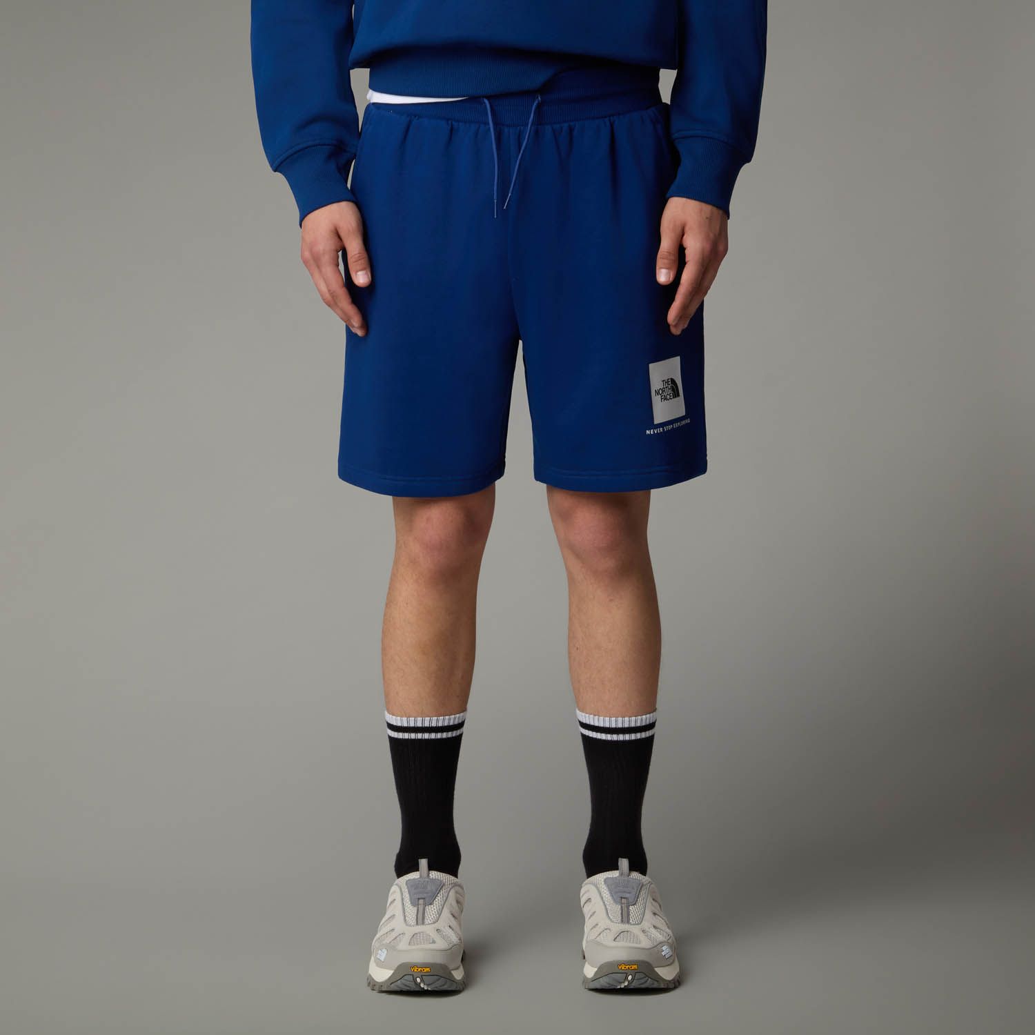 The North Face  Box Regular Shorts