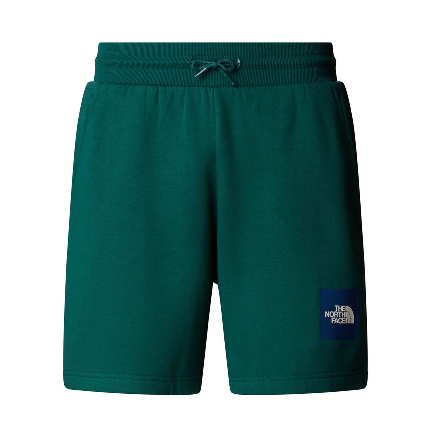 The North Face  Box Regular Shorts