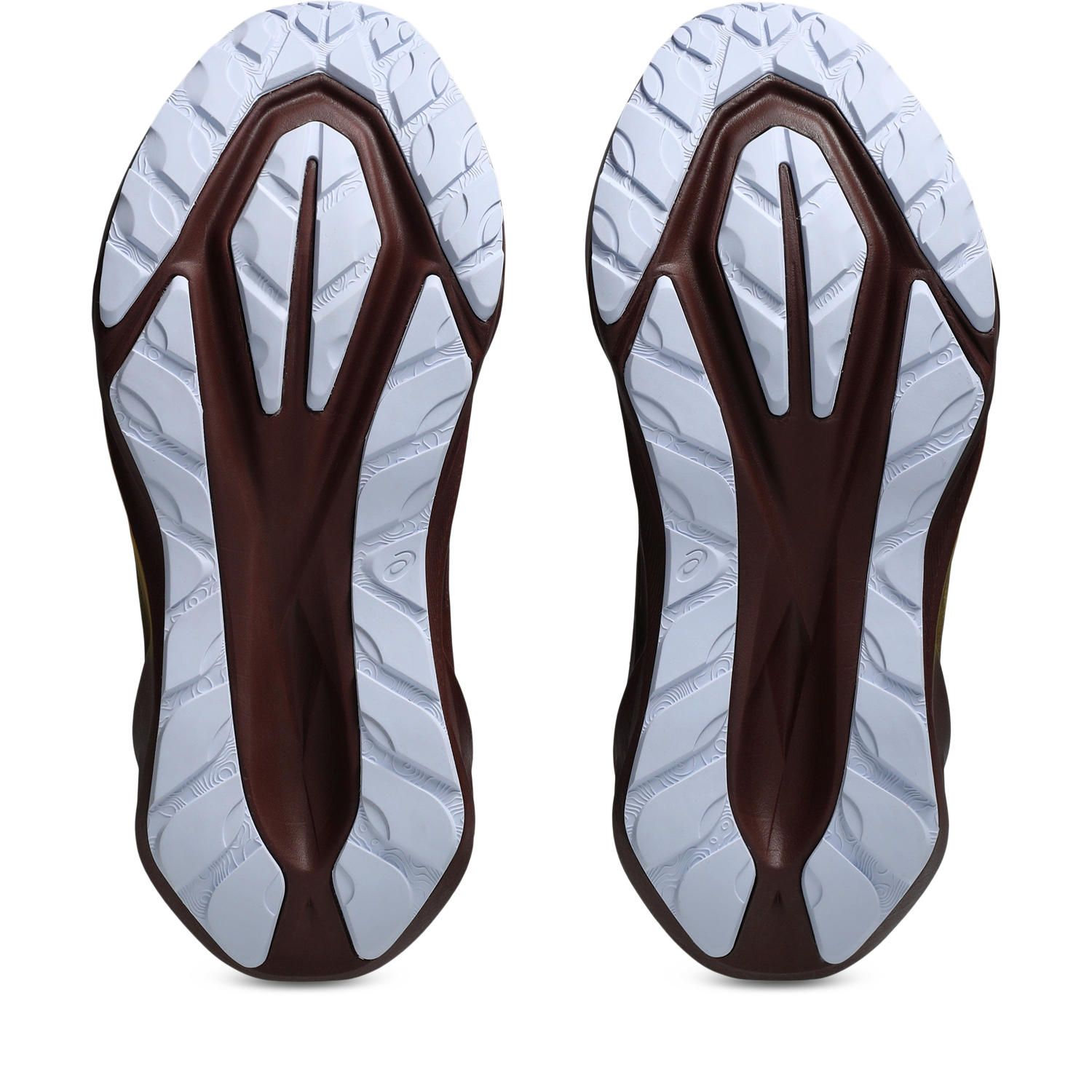 ASICS Novablast 5 TR Dames