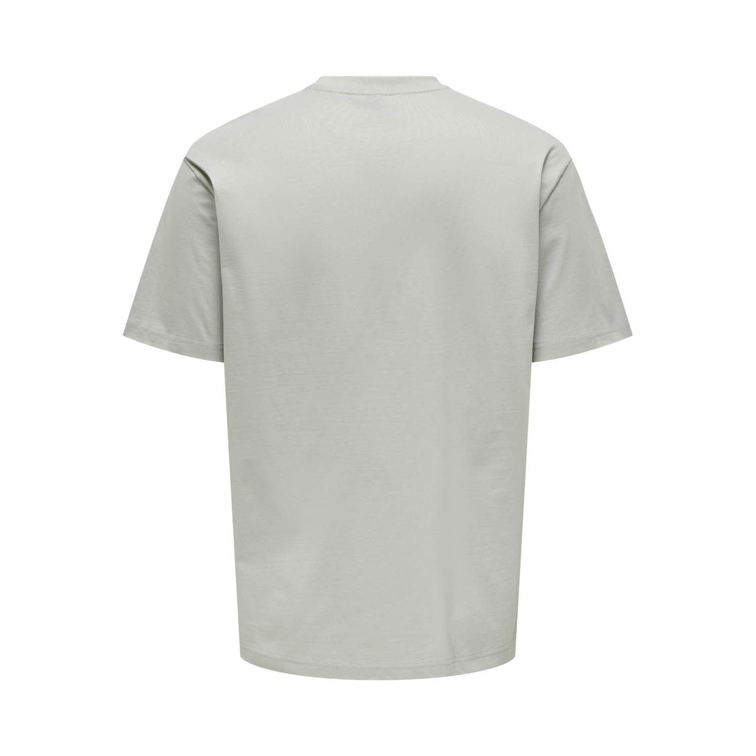 ONLY & Sons Onsfred T-shirt