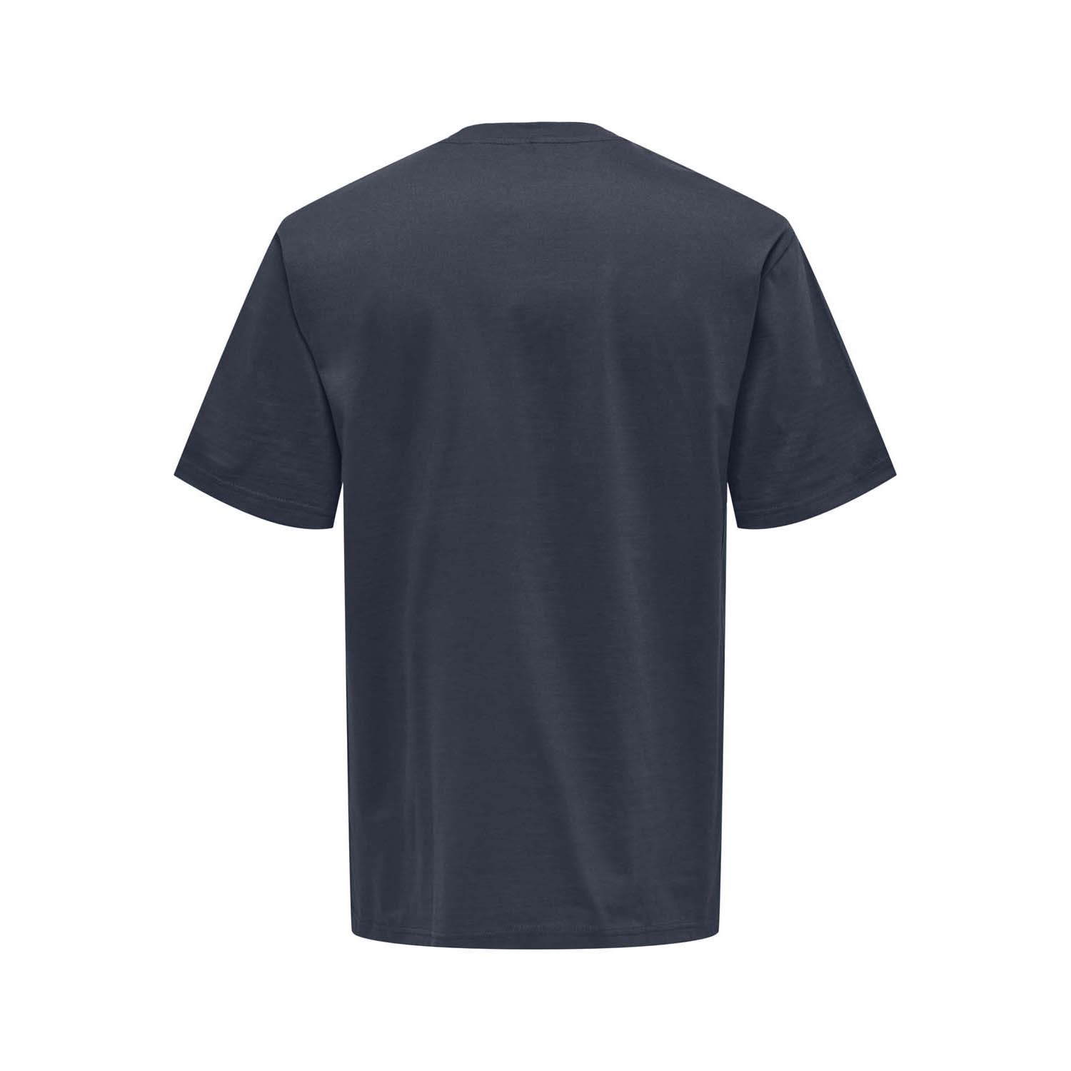 ONLY & Sons Onsfred T-shirt