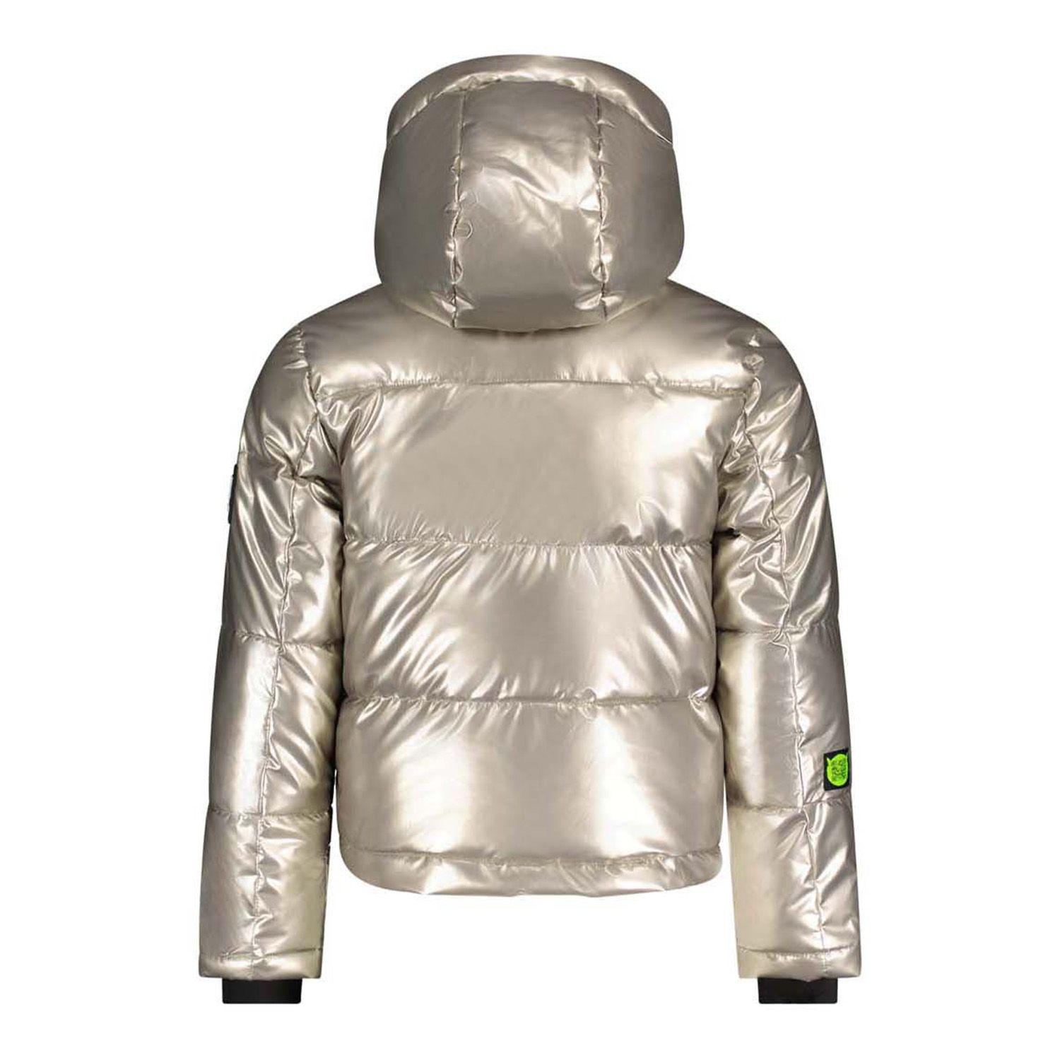 Super Rebel Spicy Metallic Hooded Ski Jacket Meiden