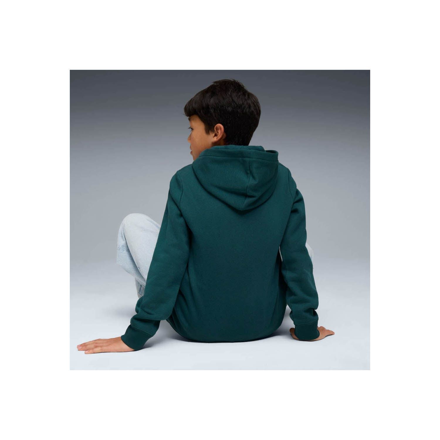 PUMA Essentials  Big Logo Hoodie Kids