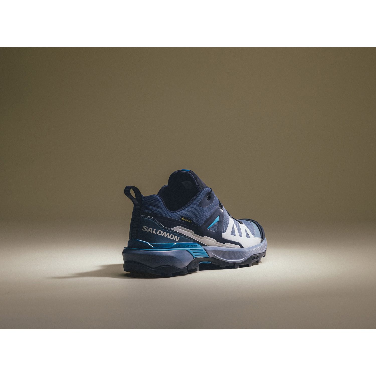 Salomon X Ultra 360 Gore-Tex Heren