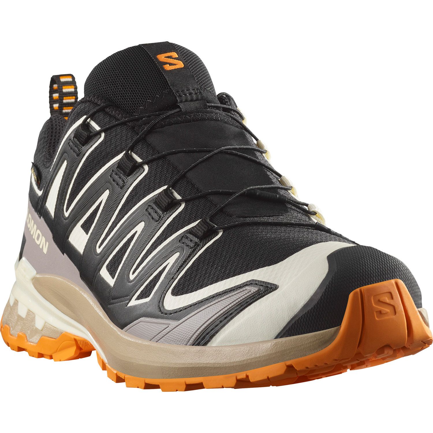 Salomon Xa Pro 3D V9 Gore-Tex Heren