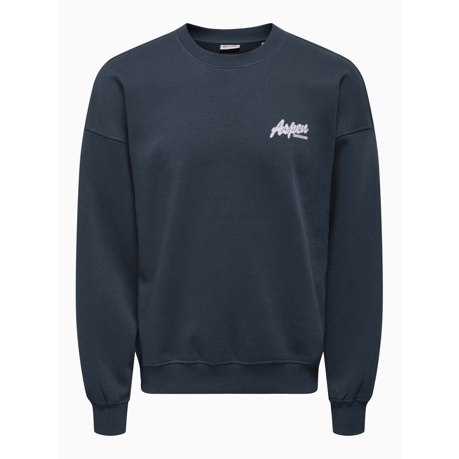 ONLY & Sons Ceres Ski Crew Sweater