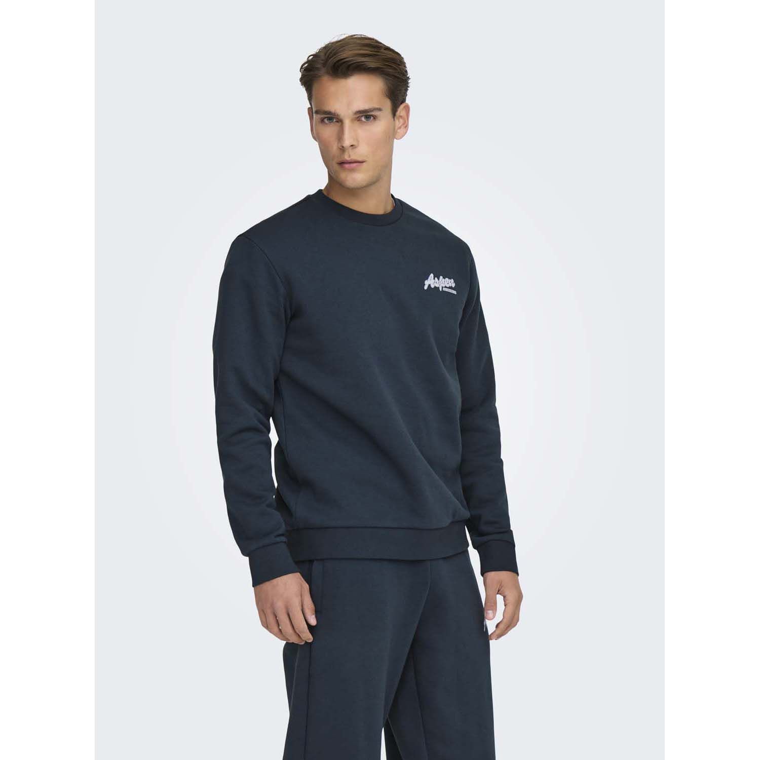 ONLY & Sons Ceres Ski Crew Sweater