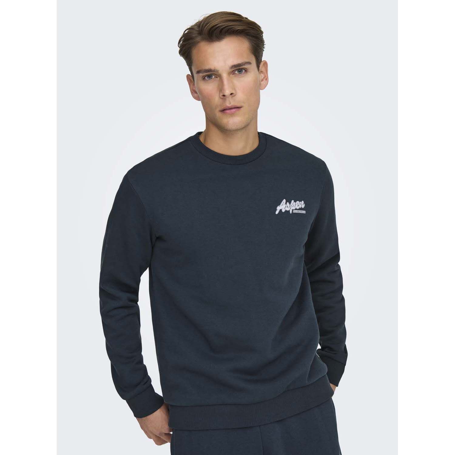 ONLY & Sons Ceres Ski Crew Sweater