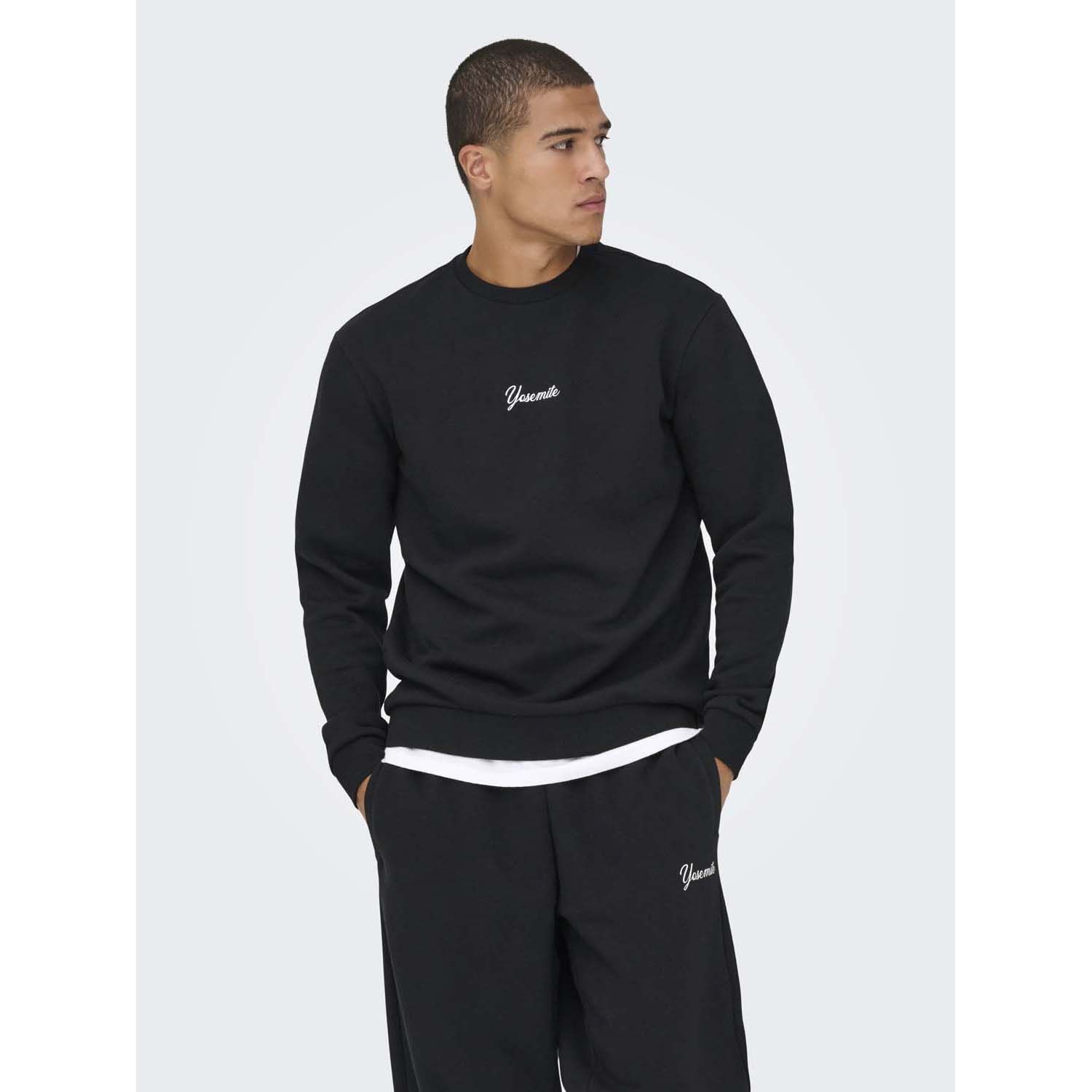 ONLY & Sons Ceres Ski Crew Sweater