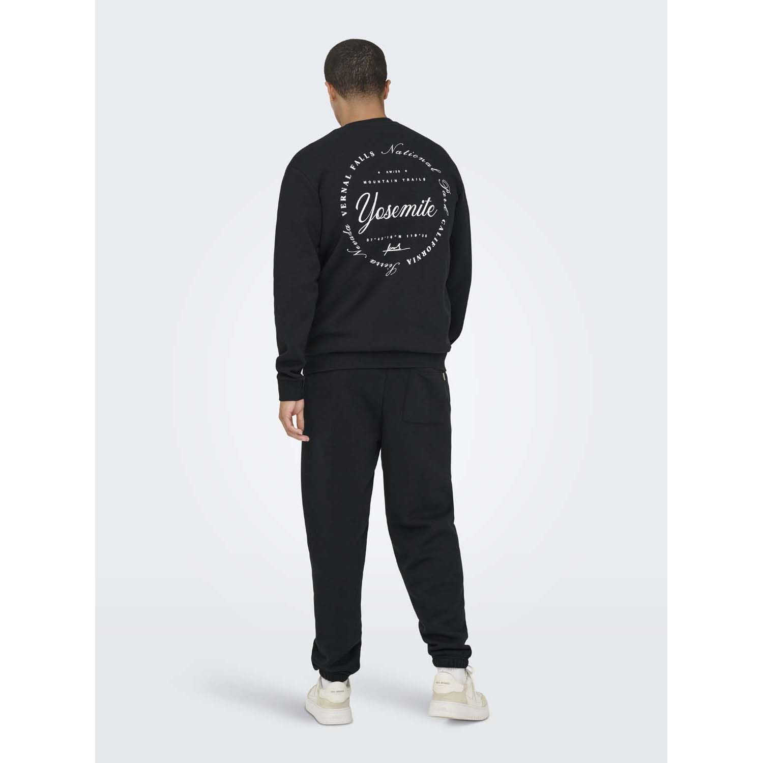 ONLY & Sons Ceres Ski Crew Sweater