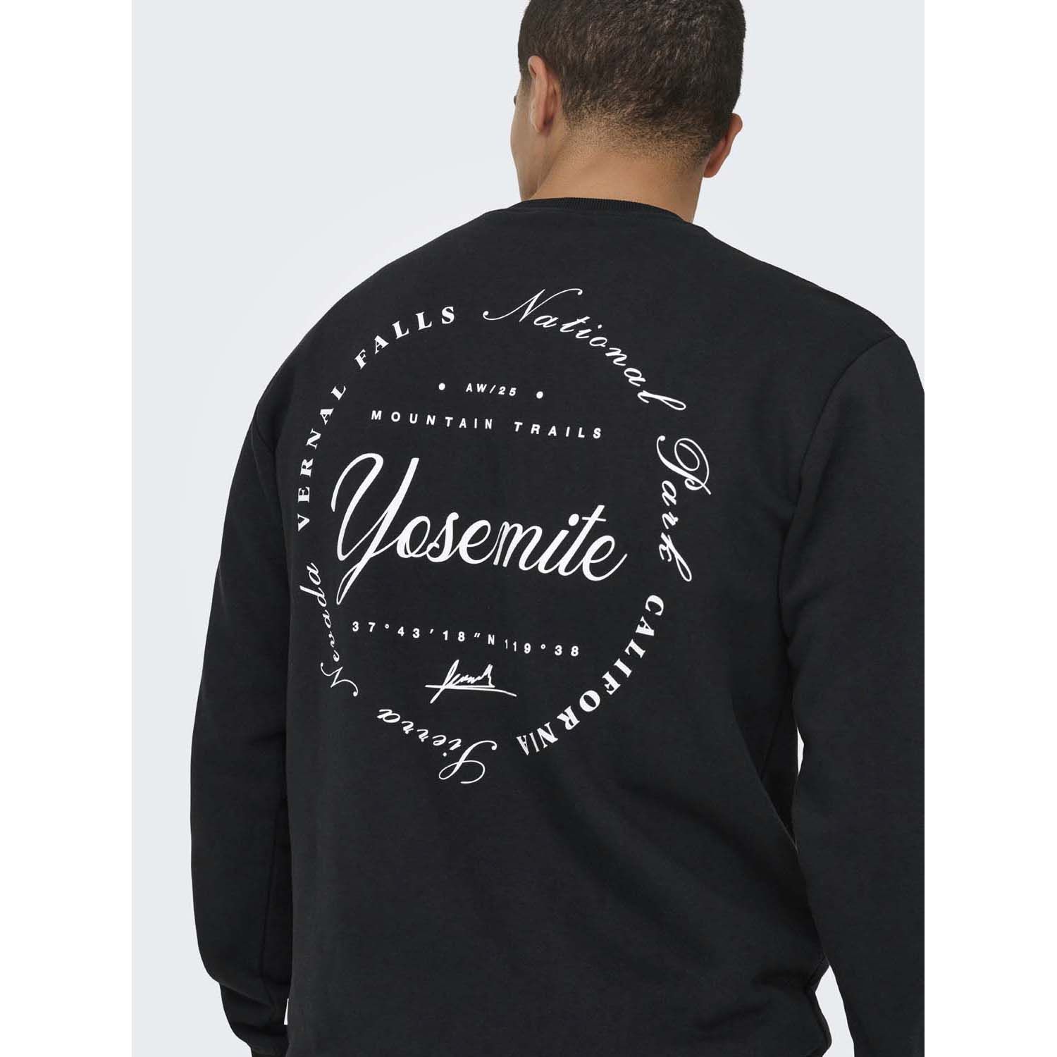 ONLY & Sons Ceres Ski Crew Sweater