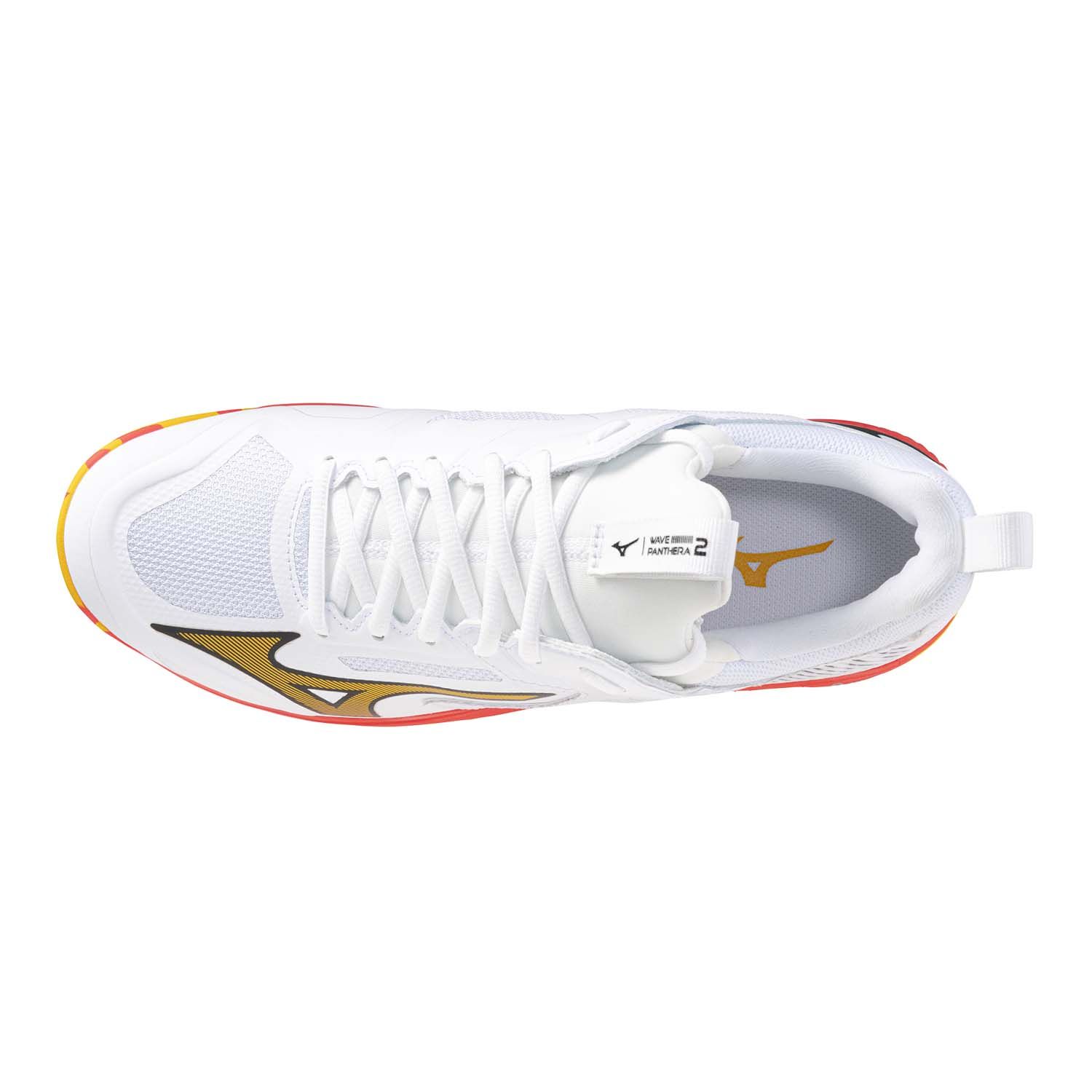 Mizuno Wave Panthera