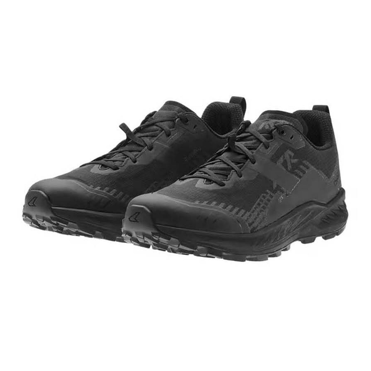 Lowa Amplux 2 GTX Heren