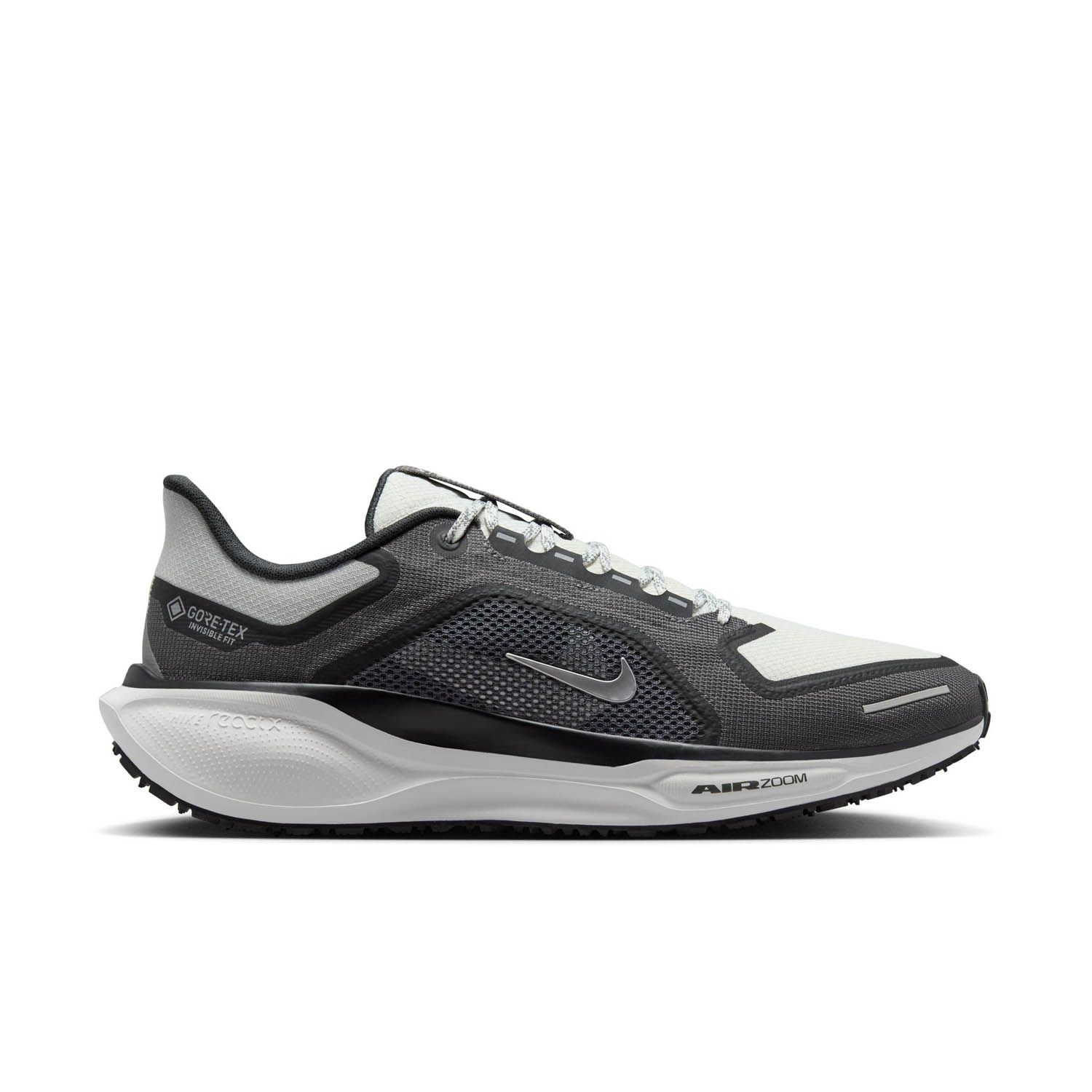 Nike Pegasus 41 Gore-Tex
