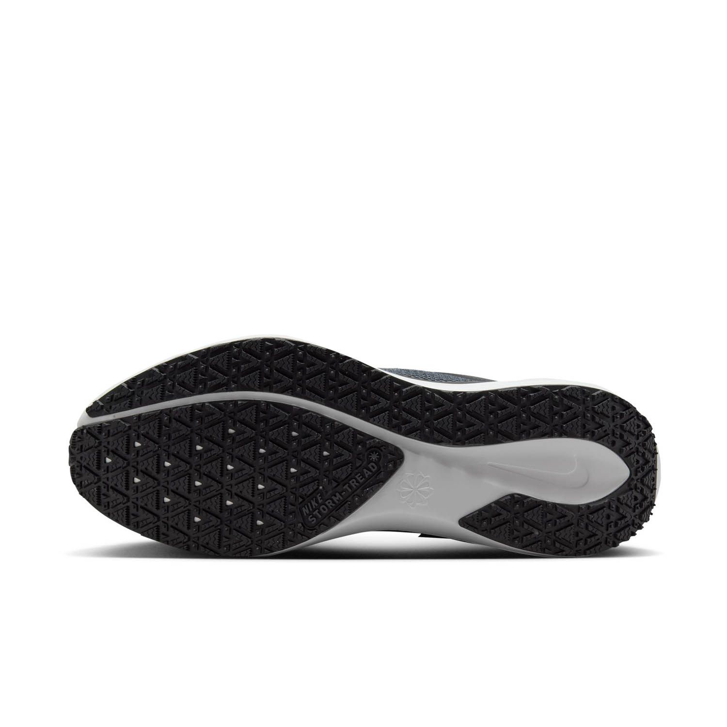 Nike Pegasus 41 Gore-Tex