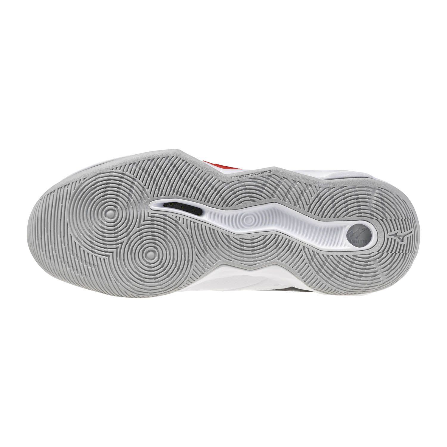 Mizuno Wave Momentum Pro Heren