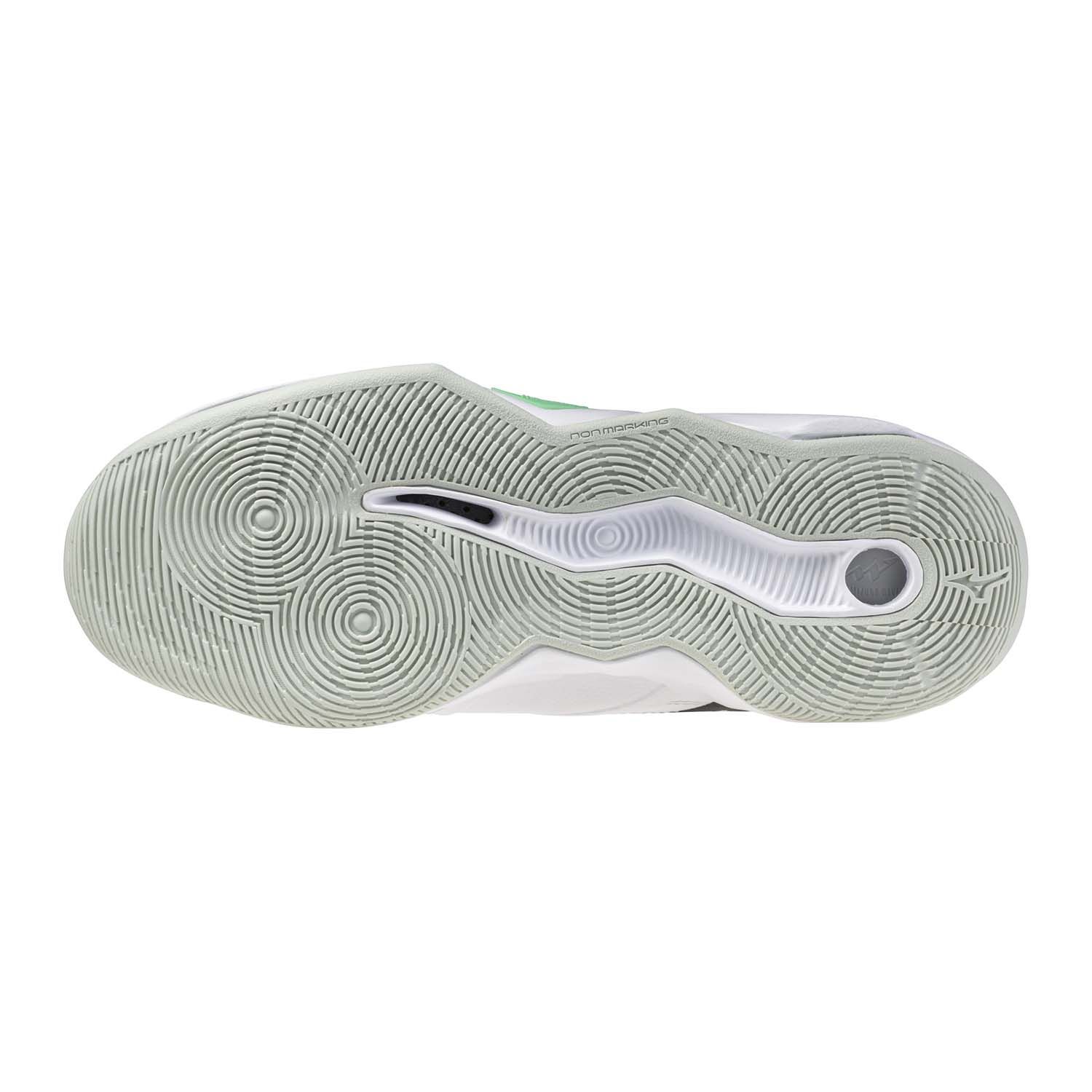 Mizuno Wave Momentum Pro Heren
