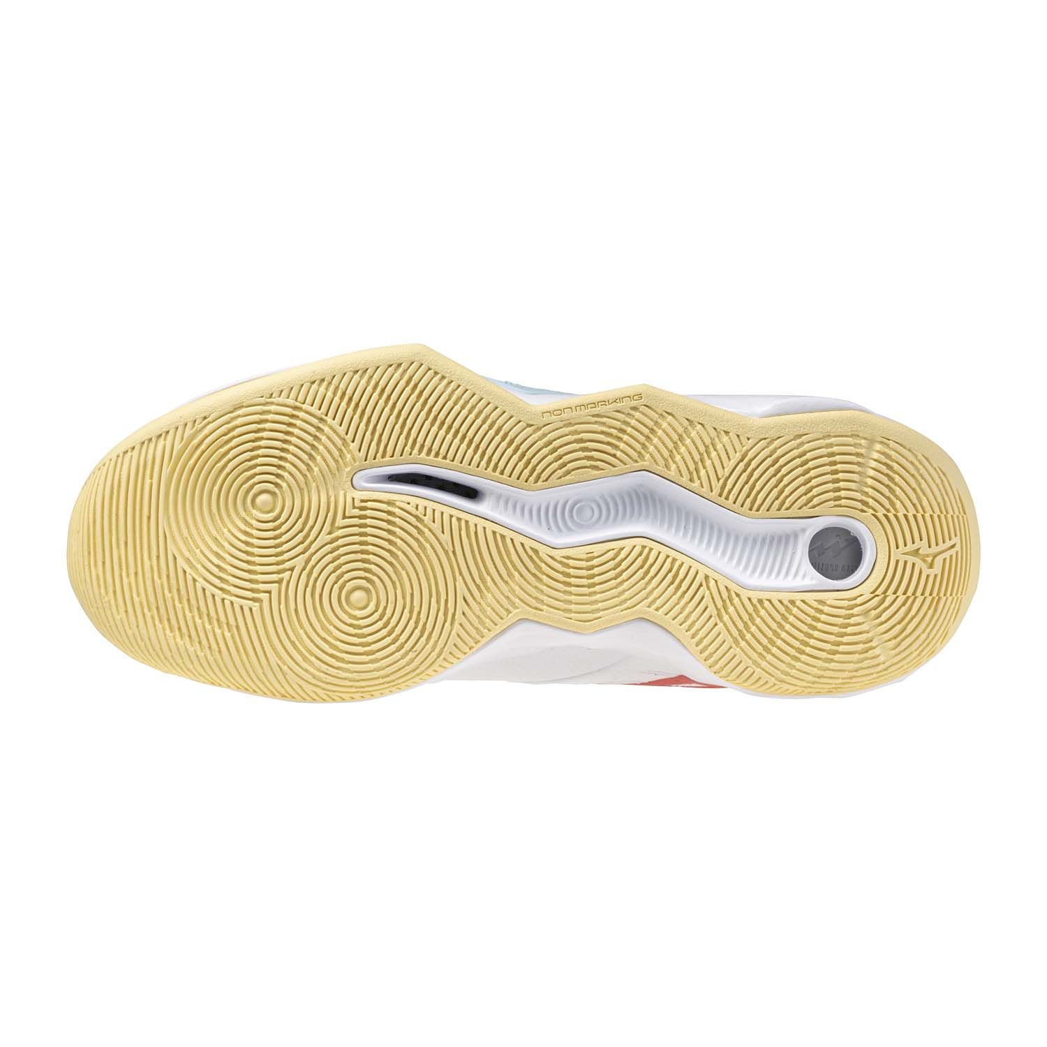 Mizuno Wave Momentum Pro Dames