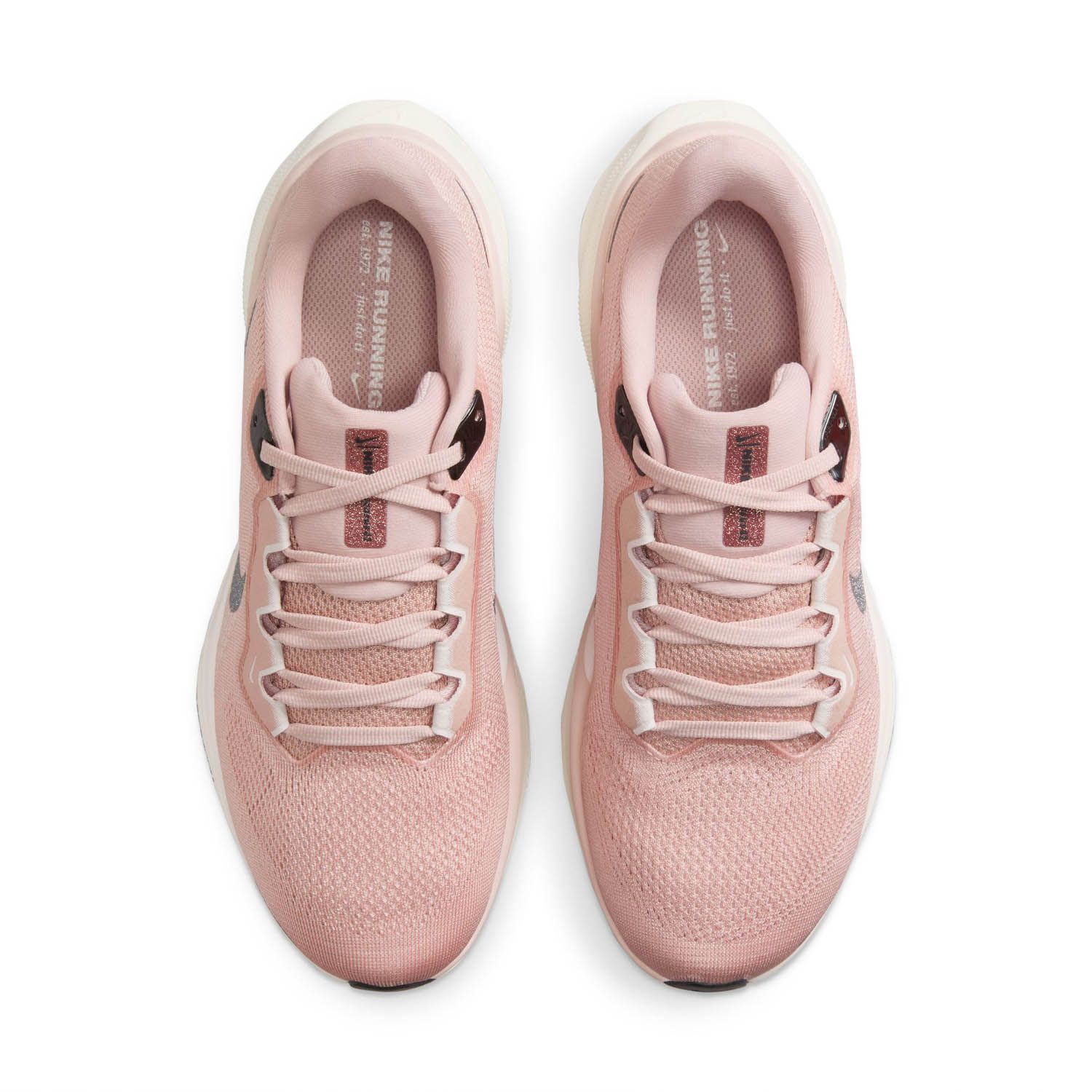 Nike Pegasus 41 PRM Dames