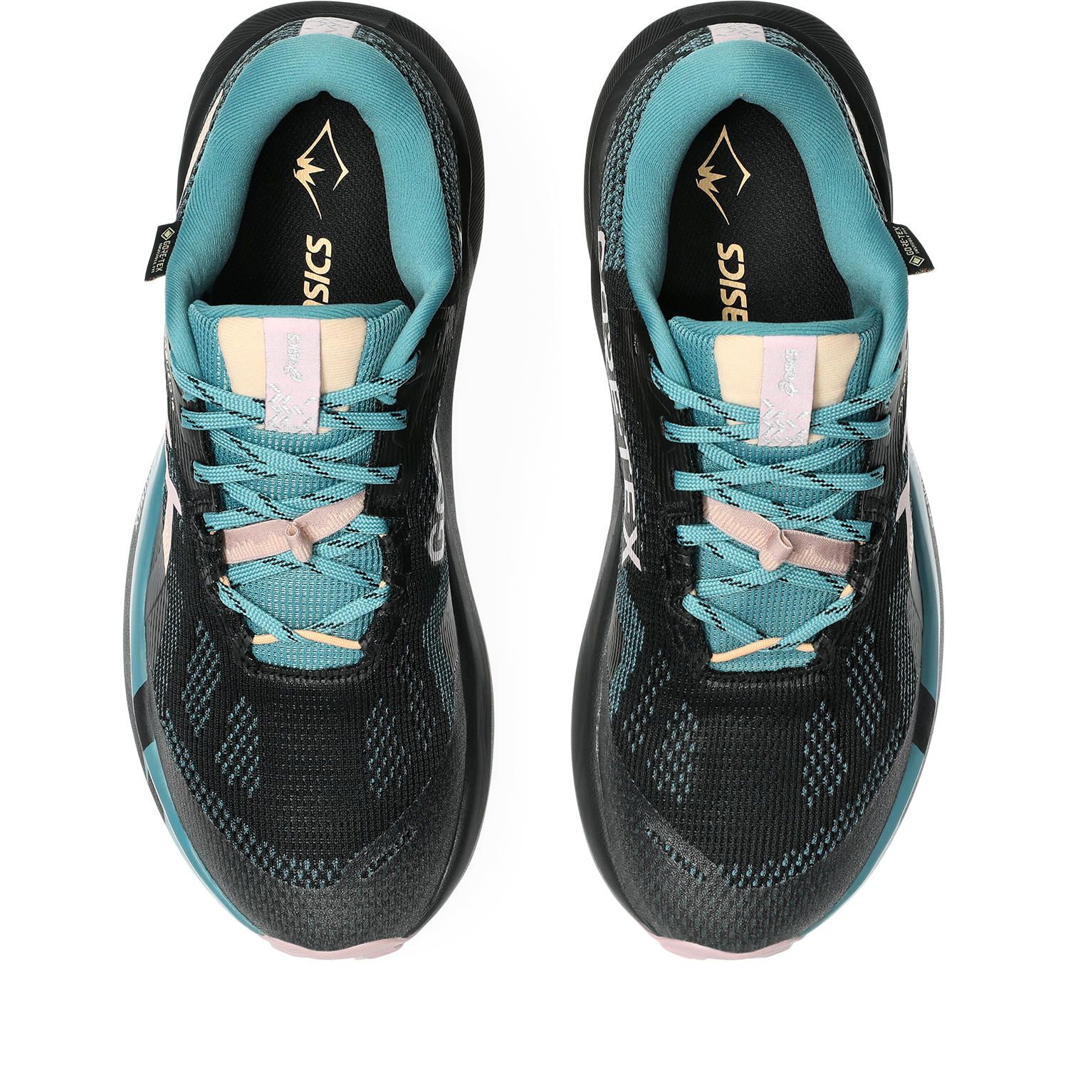 ASICS Trabuco 14 GTX Dames