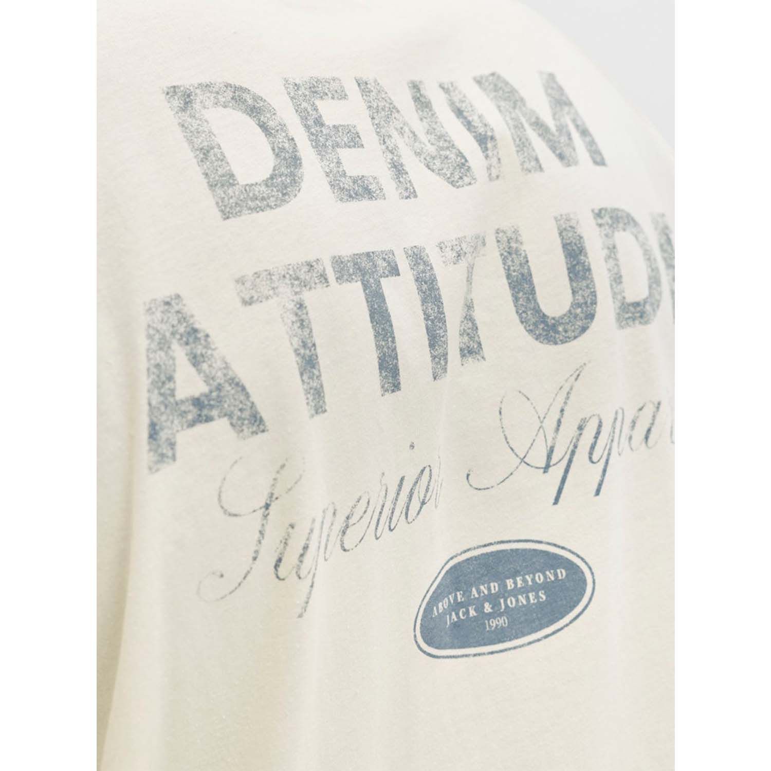 Jack & Jones Dover Graphic T-Shirt