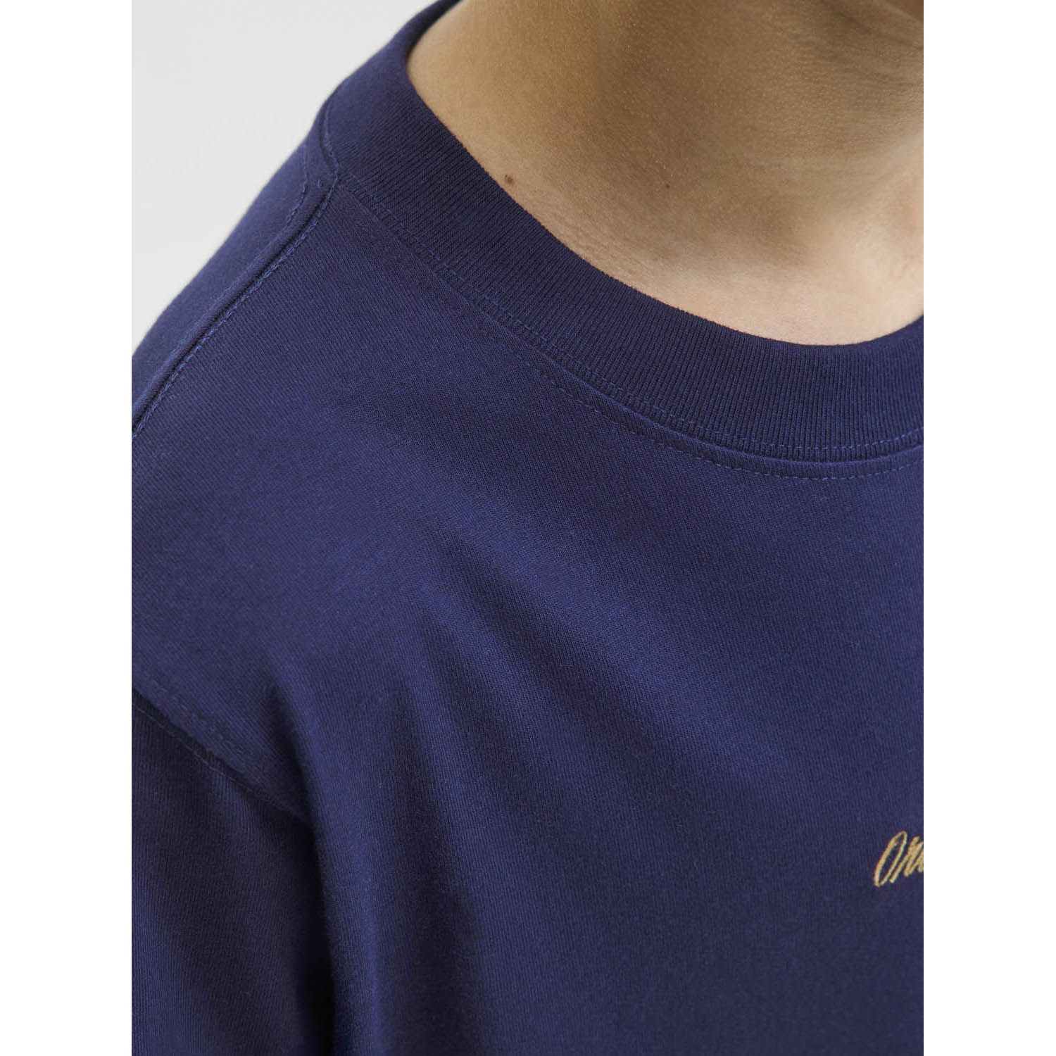 Jack & Jones Kids Jornorrebro Tee