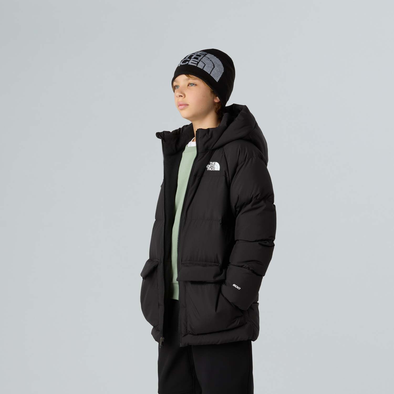The North Face Fleece Lined Parka