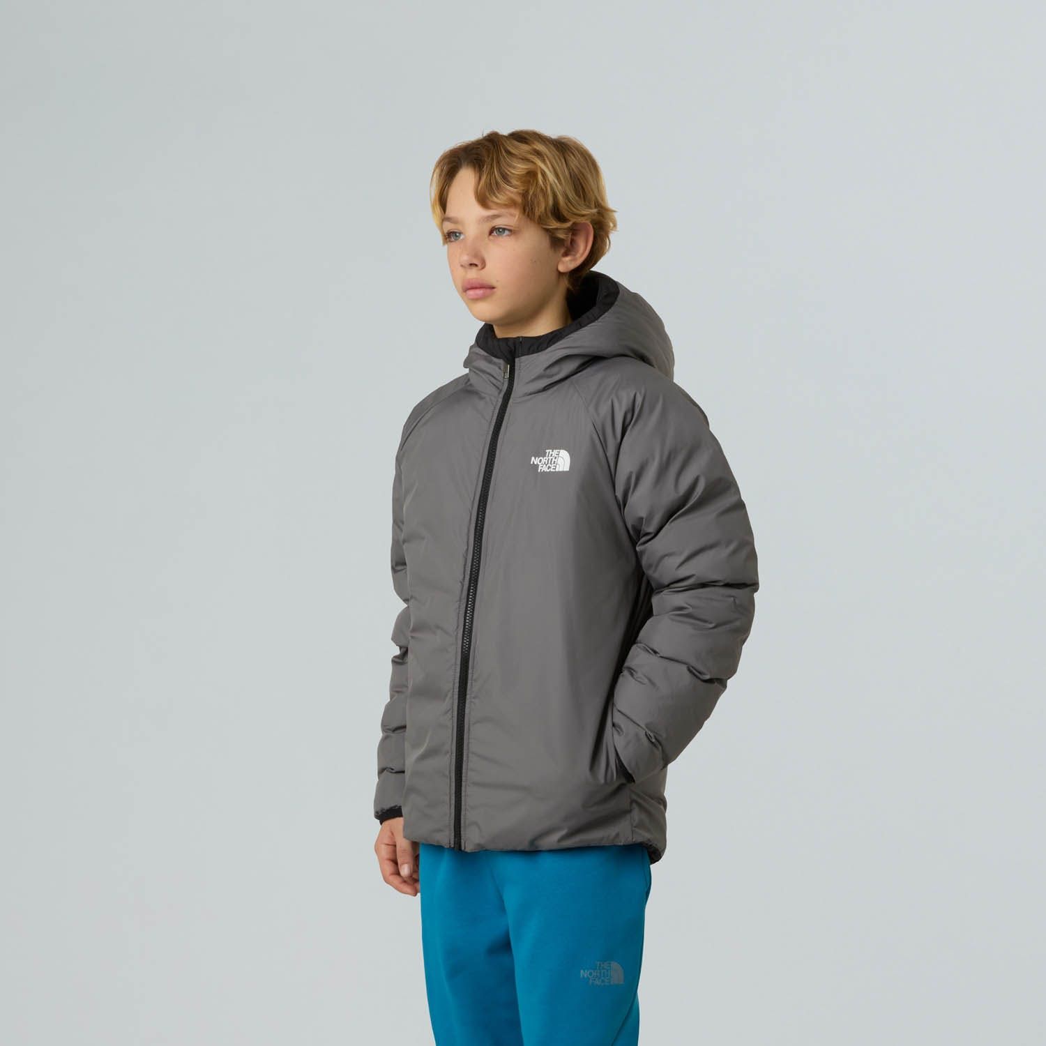 The North Face Reversible Perrito Jacket