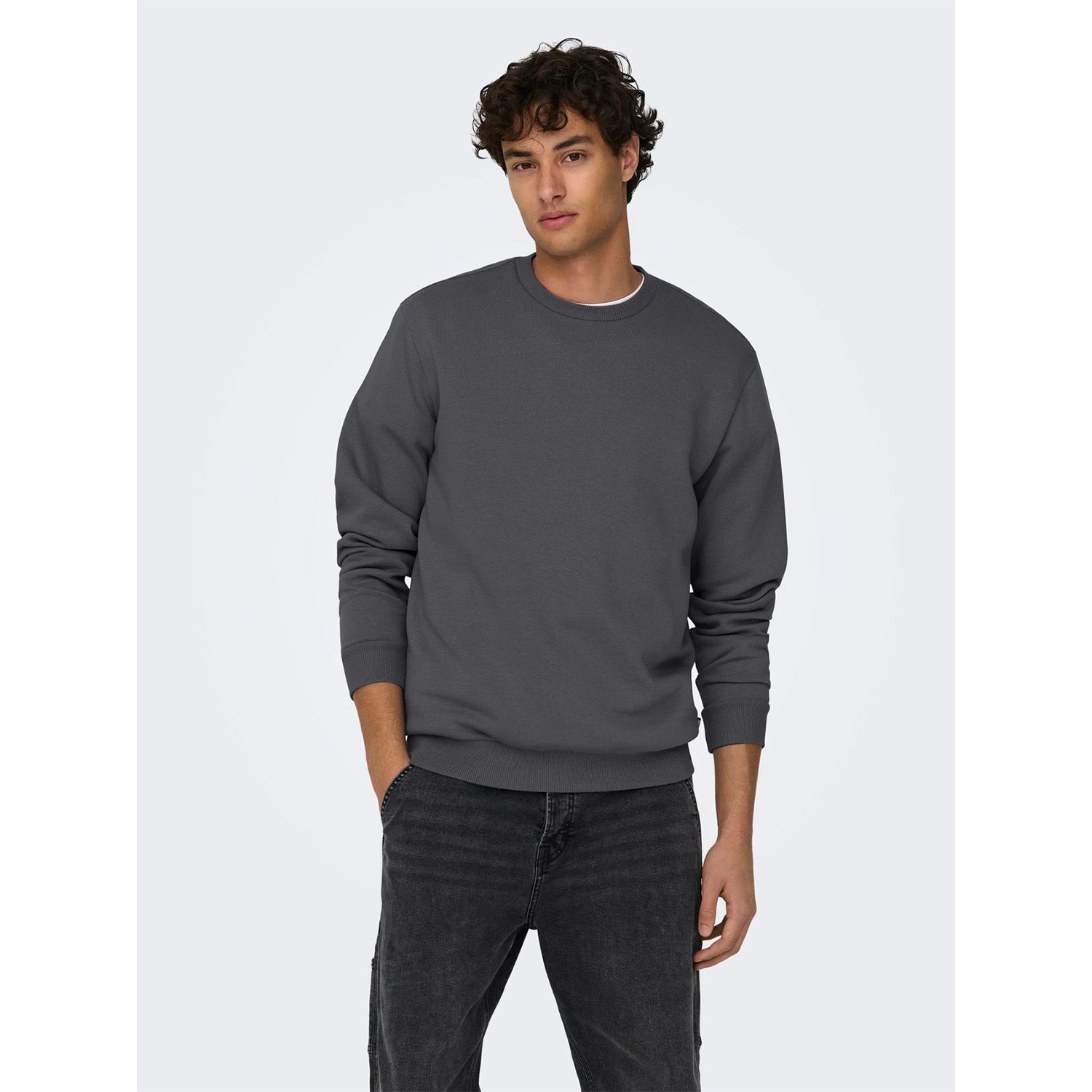ONLY & Sons Ceres Crew Neck 