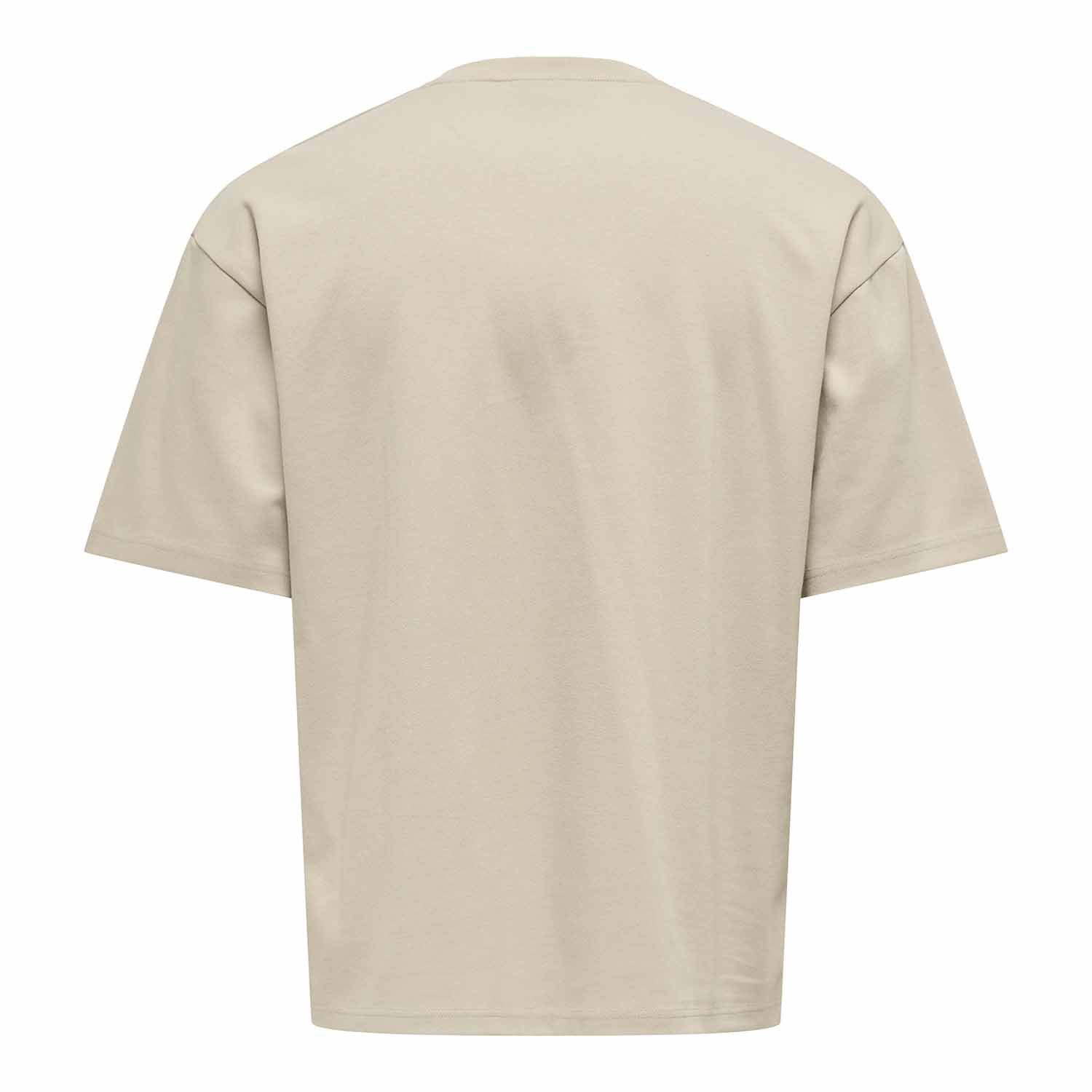 ONLY & Sons Caspian Boxy T-Shirt