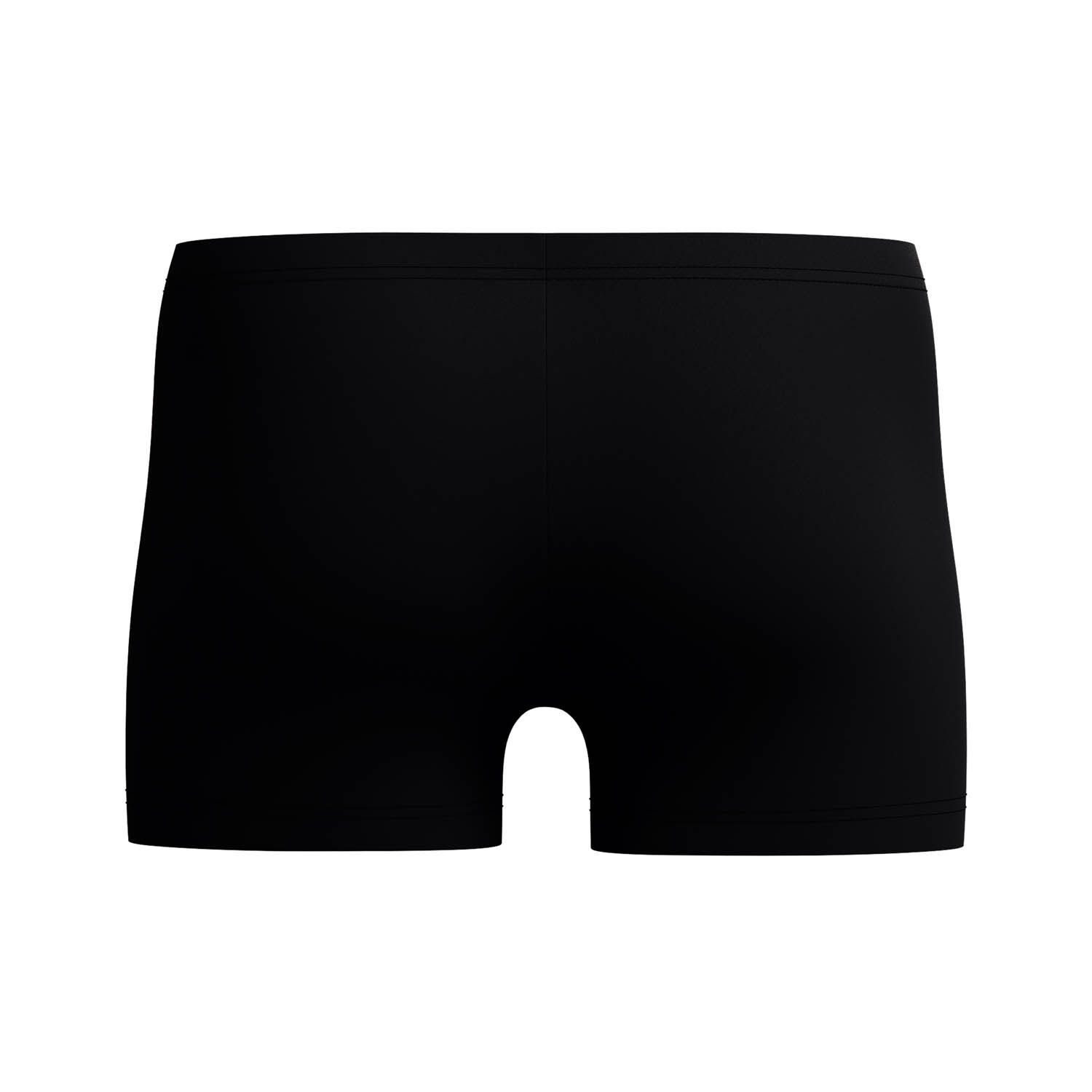 Speedo Medley Logo Aquashort