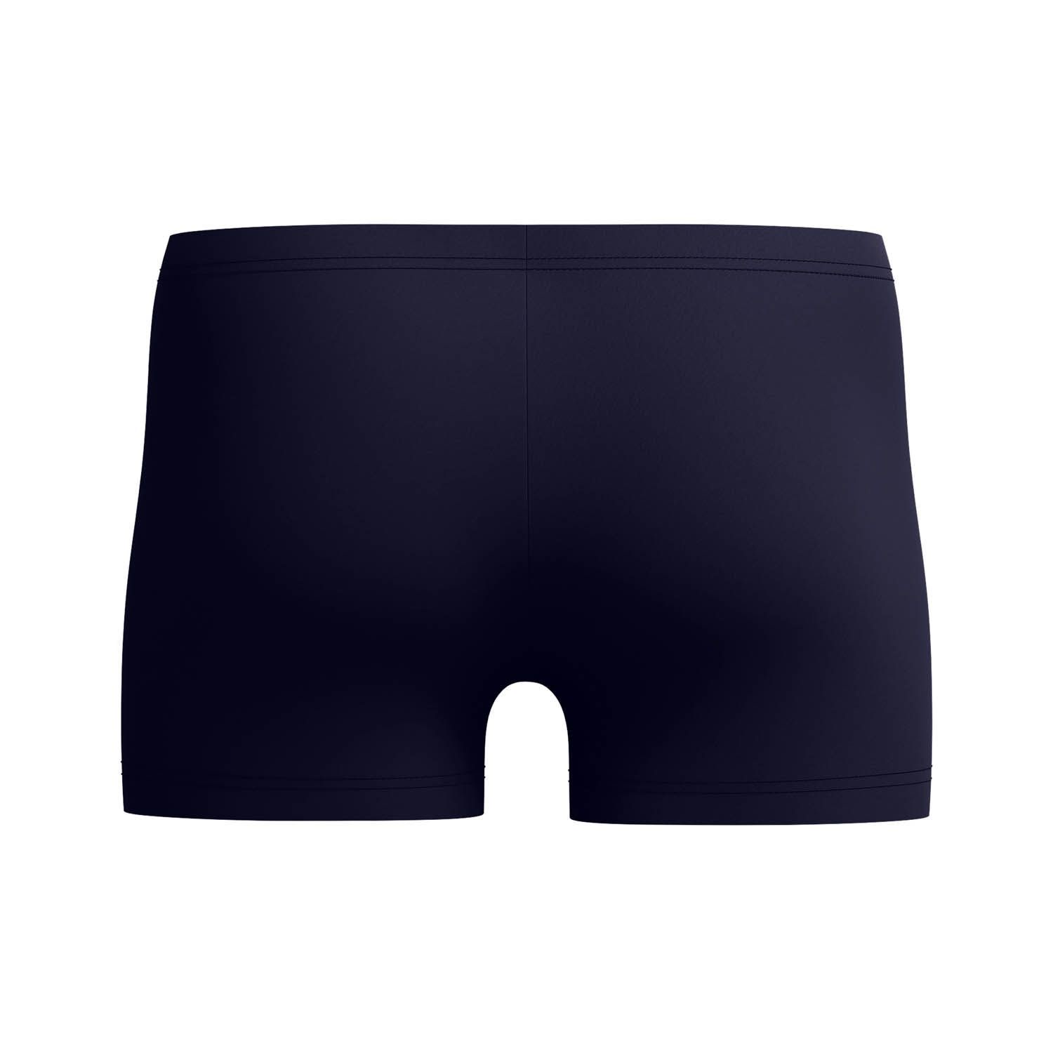 Speedo Medley Logo Aquashort