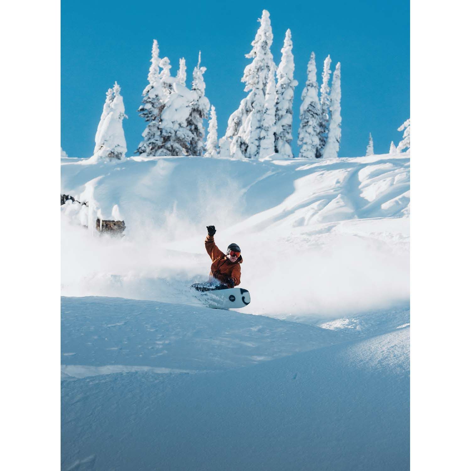 Burton Family Tree Hometown Camber