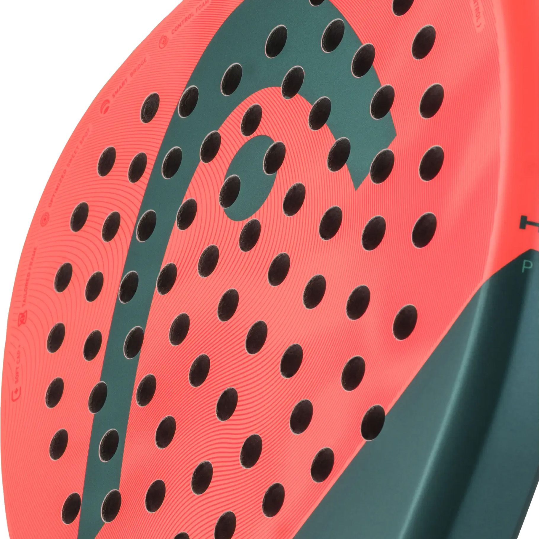 Head Radical Team 2026