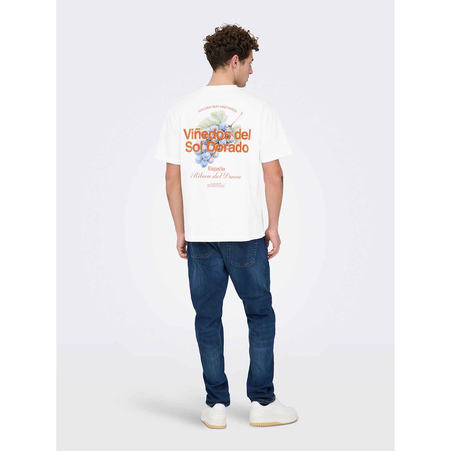 ONLY & Sons Fred Life Print T-Shirt